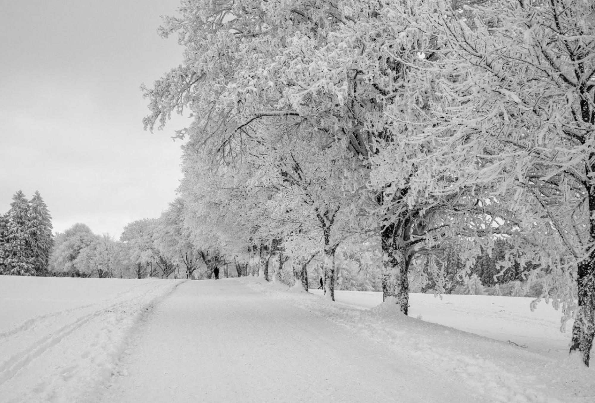 1816 η χρονιά που δεν ήρθε το καλοκαίρι: Οι καταιγίδες βούλιαξαν την Ευρώπη χιόνισε στη Νέα Υόρκη και η Ελλάδα είχε μηδενικές θερμοκρασίες