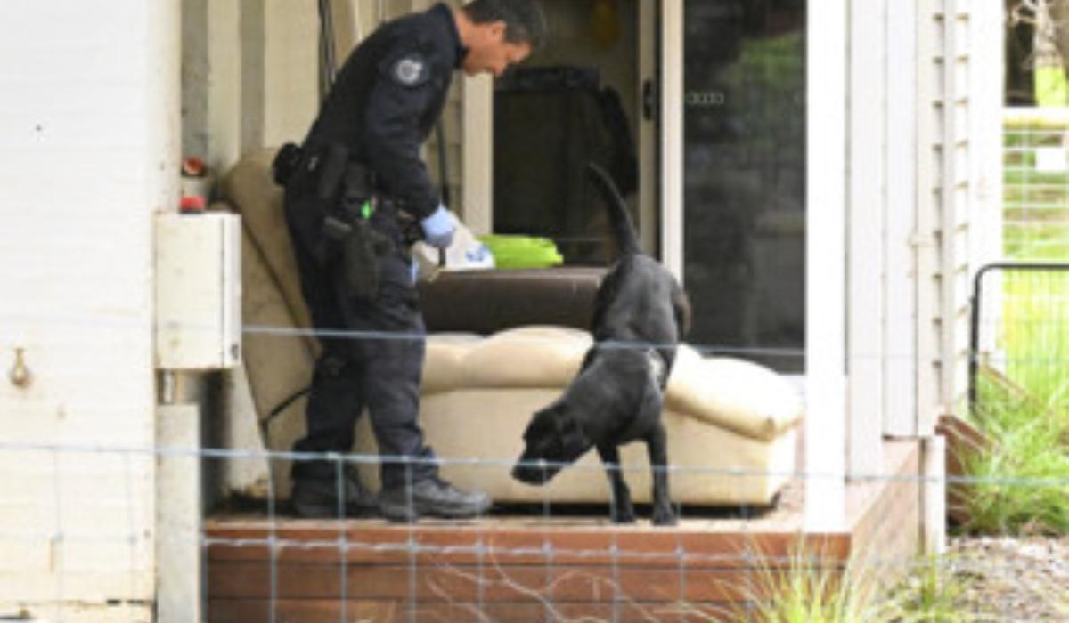 Γυναίκα δολοφόνησε τα πεθερικά της δηλητηριώδη μανιτάρια : Στο τσακ την γλίτωσε ο σύζυγος της