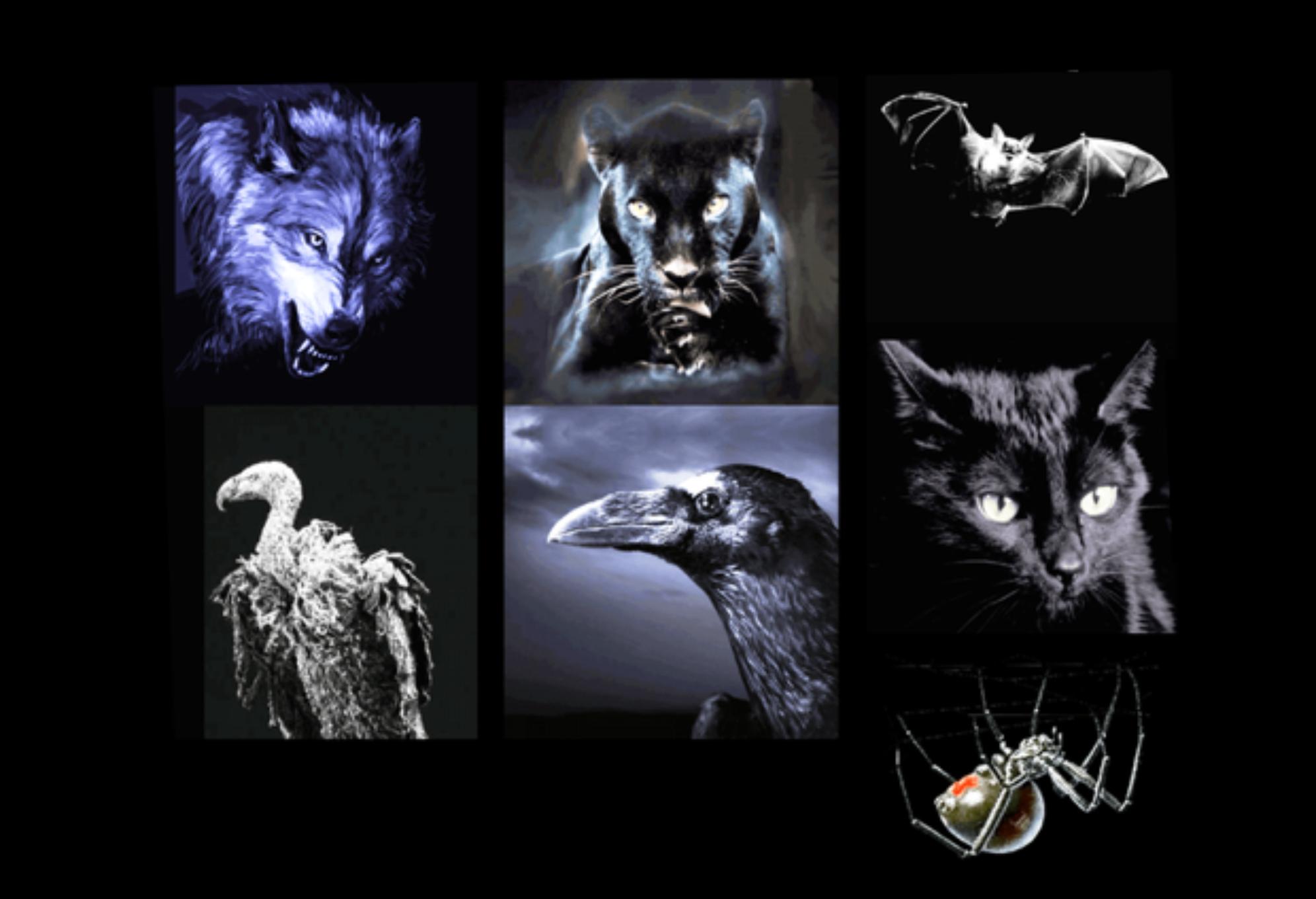 Ψυχολογικό τεστ: Ποια στοιχεία κρύβει η σκοτεινή σου πλευρά κάνε το τεστ και ανακάλυψε το