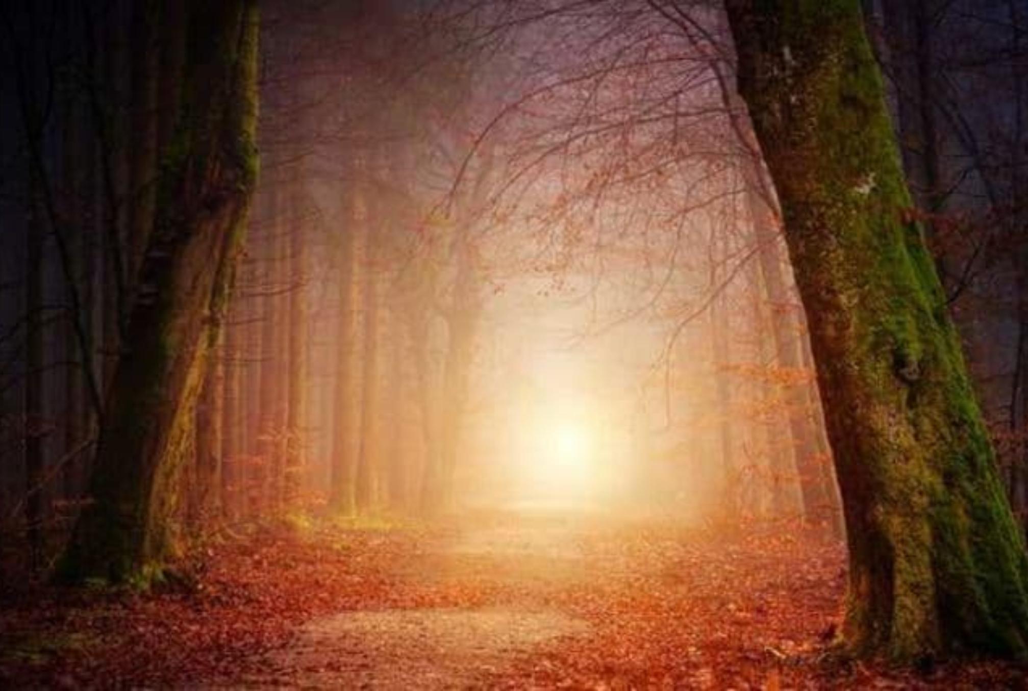 11:11 Η Πύλη των Αγγέλων: Όταν οι Άγγελοι καθοδηγούν το σωστό μονοπάτι μπροστά σας