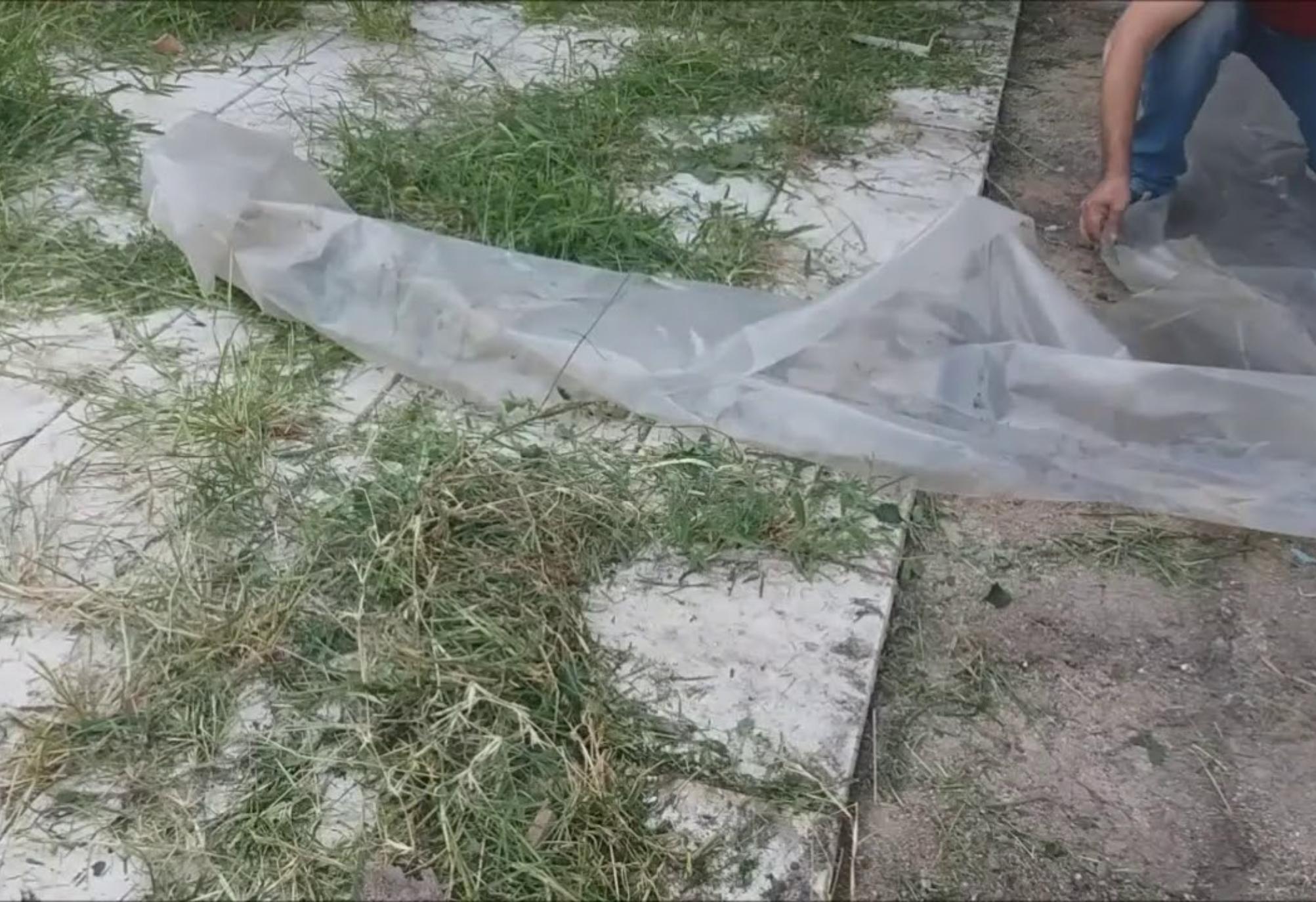 Πρασινάδα μούχλα και λεκέδες από σάπια φύλλα στις πλάκες εξωτερικού χώρου: Κάντε τες σαν καινούριες χωρίς κόπο 