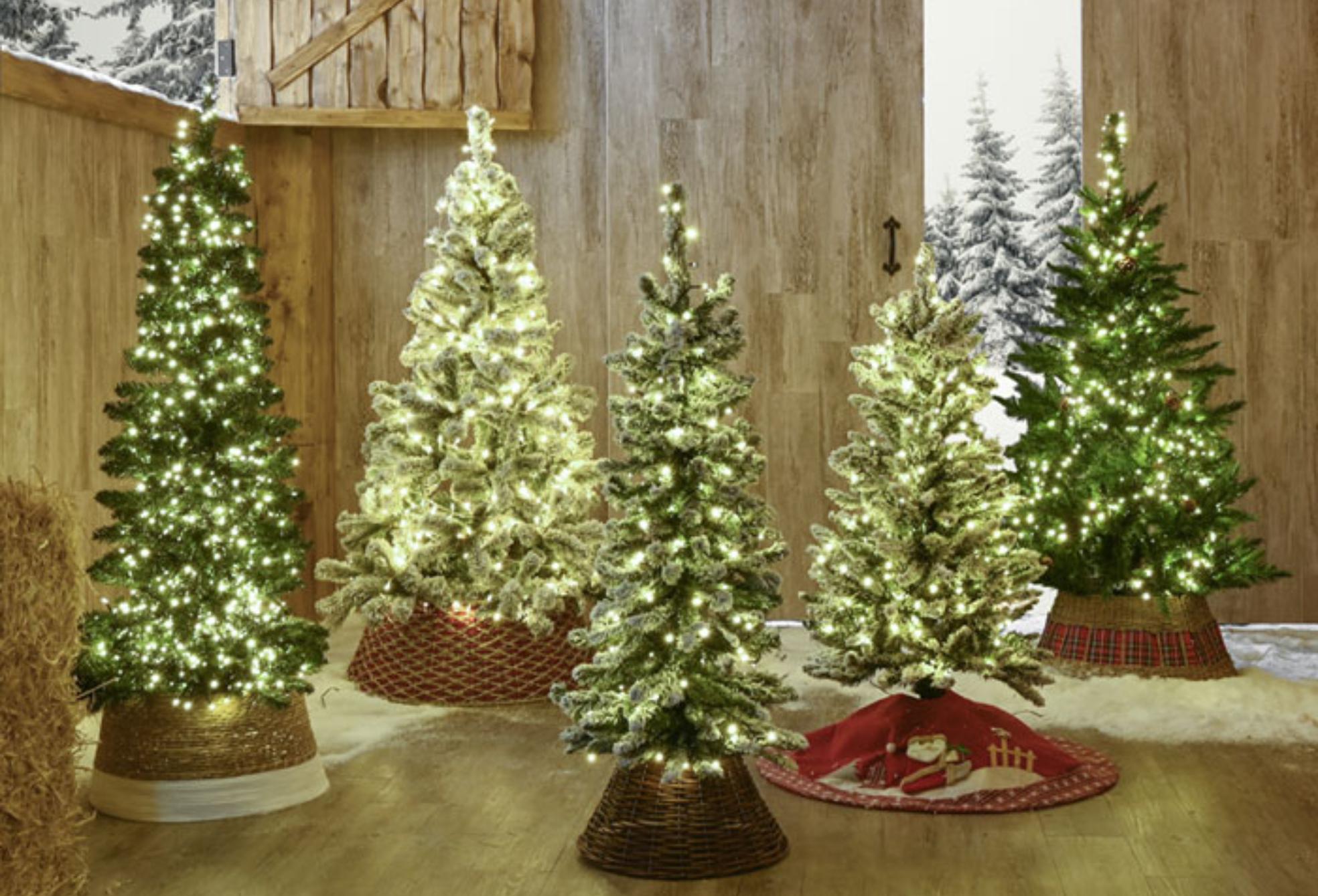 Χριστούγεννα: Πώς να στολίσεις το τέλειο Χριστουγεννιάτικο δέντρο