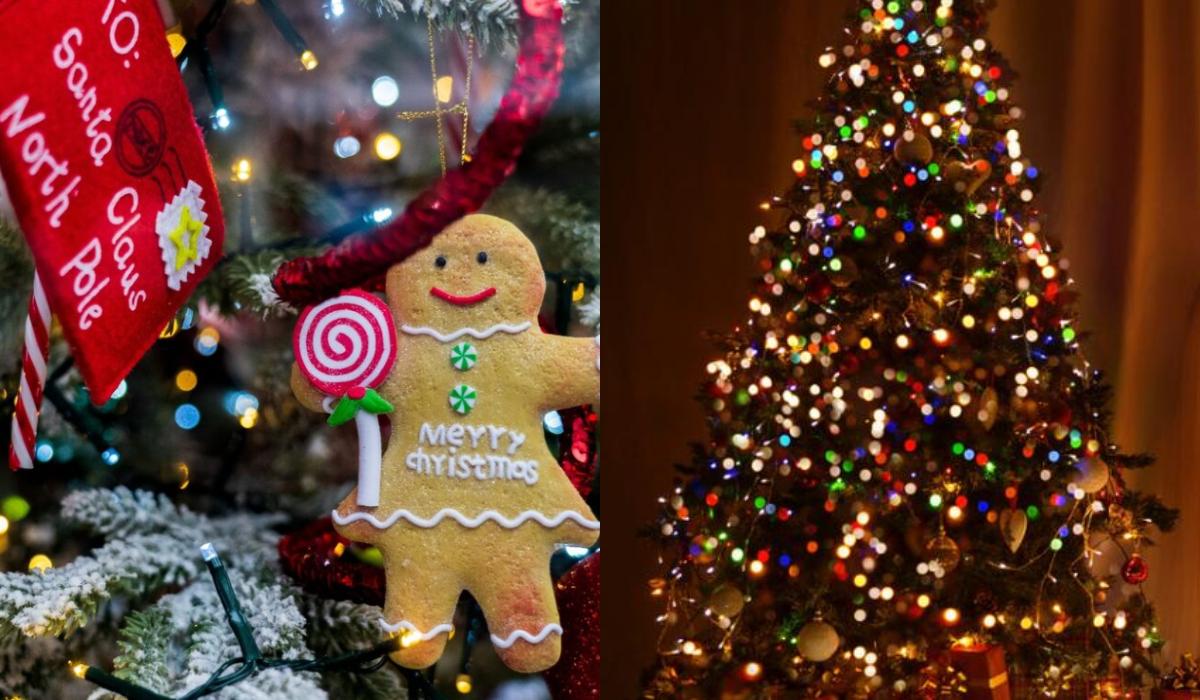 Χριστούγεννα 2023: Στα ύψη οι τιμές σε δέντρα και στολίδια