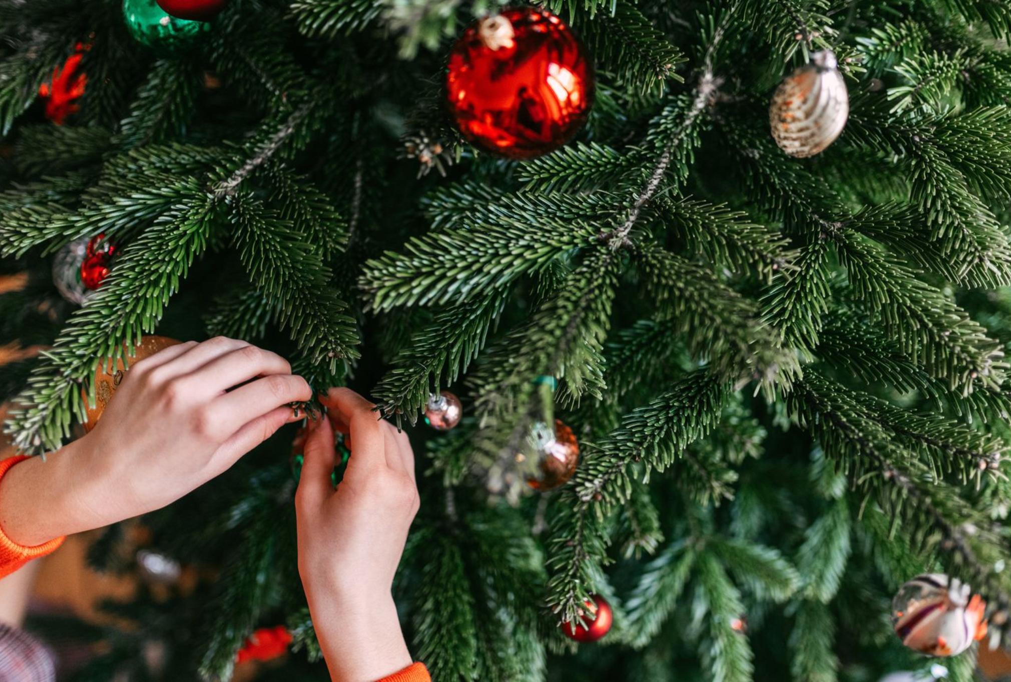 Χριστούγεννα: Πώς να στολίσεις το τέλειο Χριστουγεννιάτικο δέντρο βήμα βήμα – 11 συμβουλές από ειδικούς της διακόσμησης