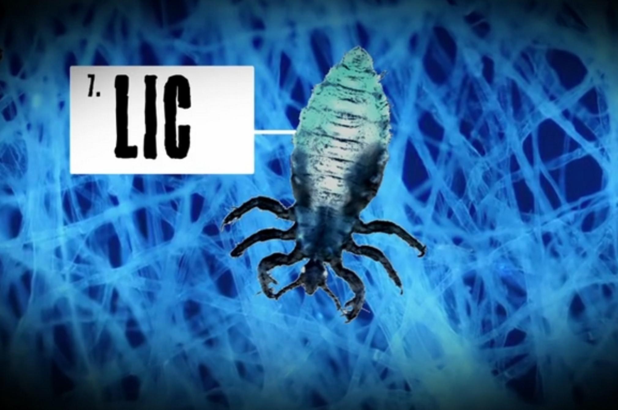 Εκτός από τα ακάρεα αυτά είναι τα επικίνδυνα έντομα και όχι μόνο που κρύβονται στο στρώμα σου: Τσιμπάν δηλητηριάζουν και απειλούν την υγεία σου