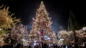 Χριστούγεννα 2023: Στις 18:00 η Φωταγώγηση του χριστουγεννιάτικο δέντρου στο Σύνταγμα