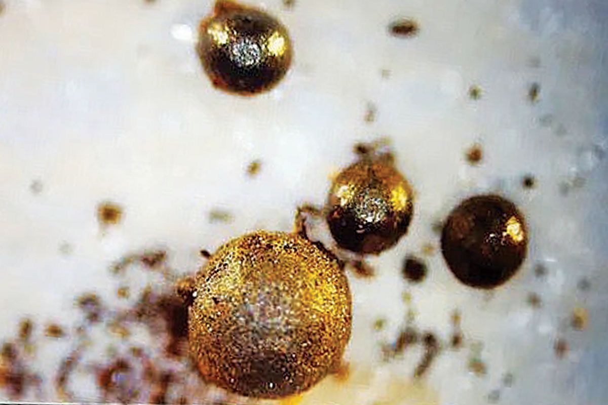 Σφαίρες που βρέθηκαν στον βυθό του Ειρηνικού: Είναι εξωγήινες, λέει καθηγητής του Χάρβαρντ