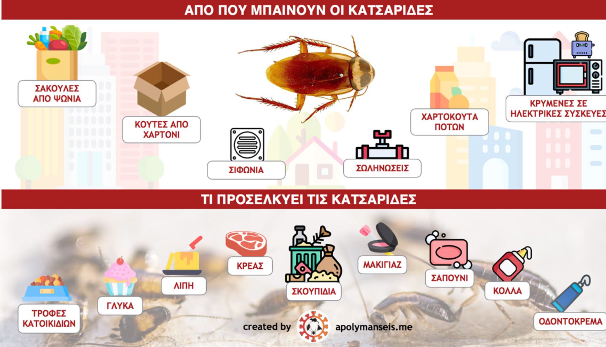 Ανατριχιαστικές μαύρες κατσαρίδες στο σπίτι: Στον πάγκο της κουζίνα ή το μπάνιο – Δείτε πως να απαλλαγείτε μια και καλή