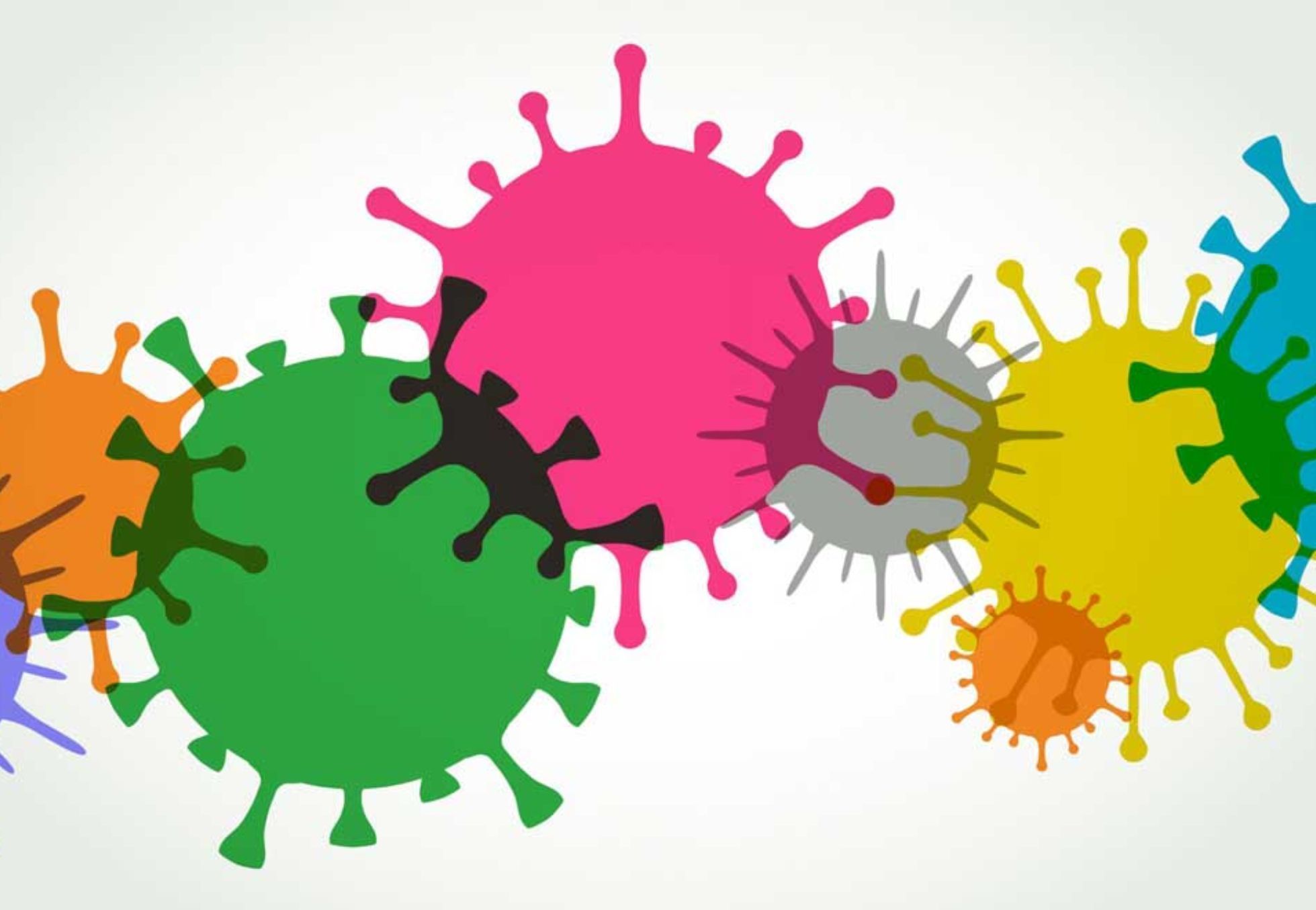 Περιττώματα ποντικού σε ντουλάπια χαλιά και ρούχα: Ο σωστός τρόπος καθαρισμού και πως να διώξετε τα ποντίκια από το σπίτι