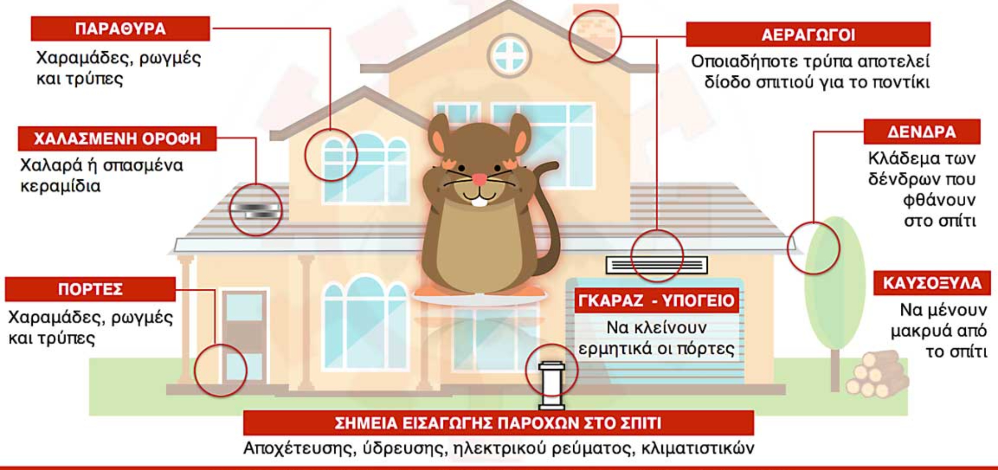 Περιττώματα ποντικού σε ντουλάπια χαλιά και ρούχα: Ο σωστός τρόπος καθαρισμού και πως να διώξετε τα ποντίκια από το σπίτι