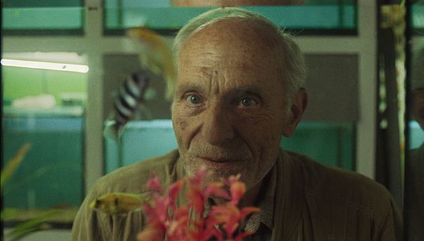 Έρημη χώρα: Οι χαρακτήρες και η υπόθεση της σειράς