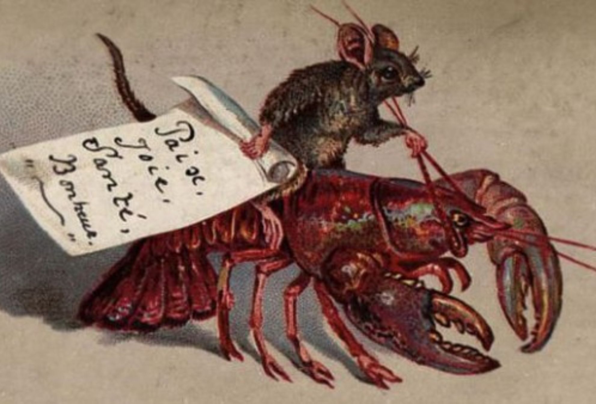 Χριστουγεννιάτικες κάρτες Βικτωριανής Εποχής: Ανατριχιαστικές ευχετήριες κάρτες με νεκρά πουλιά, βασανιστήρια και βάτραχους δολοφόνους