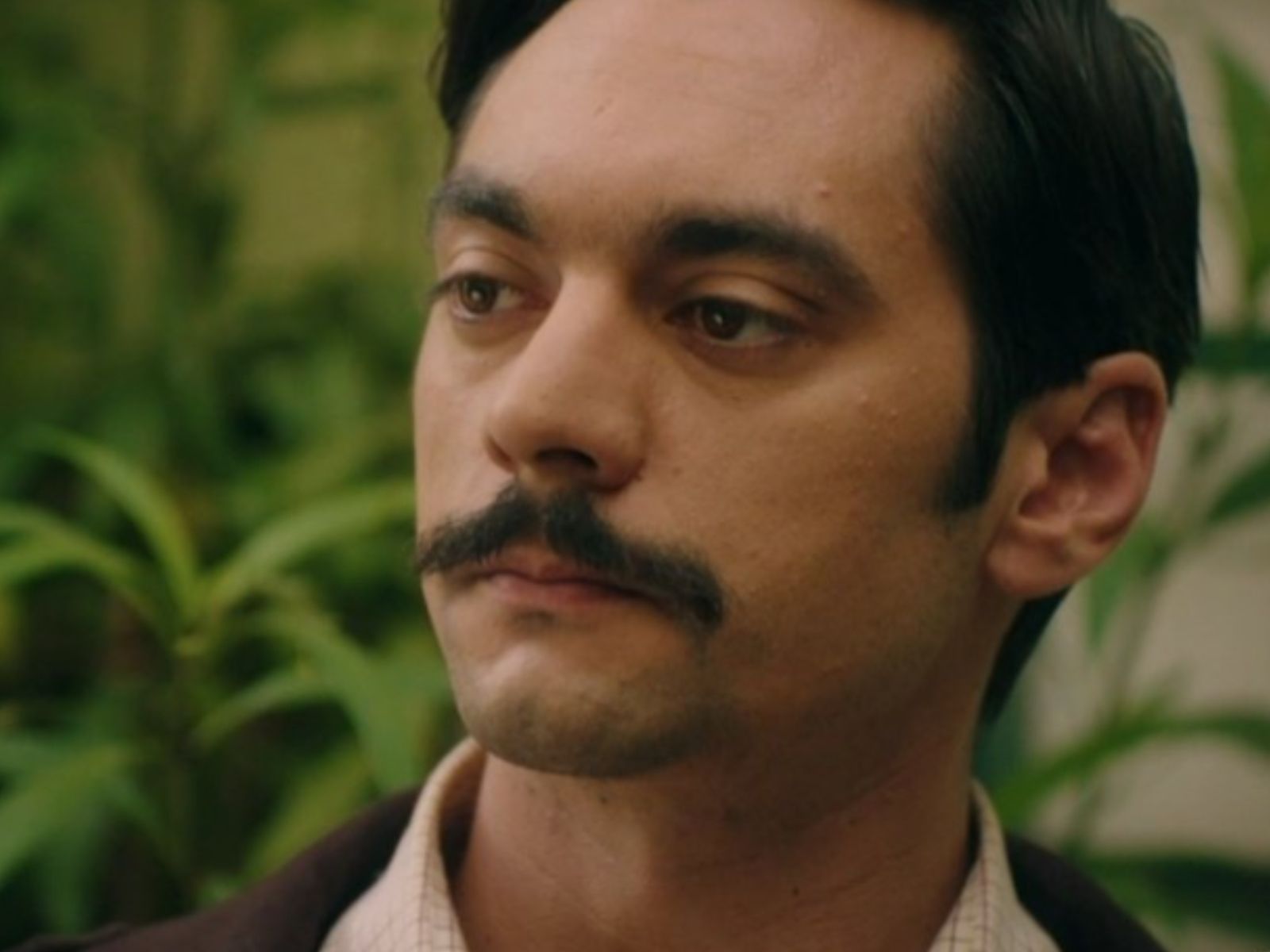 Το Ναυάγιο-Πέτρος- Το Ναυάγιο-Πέτρος-