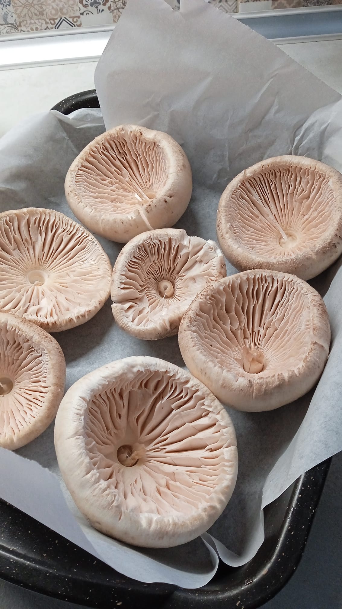 γεμιστά-μανιτάρια-με-τυριά-και-αλλαντικά-συνταγή-