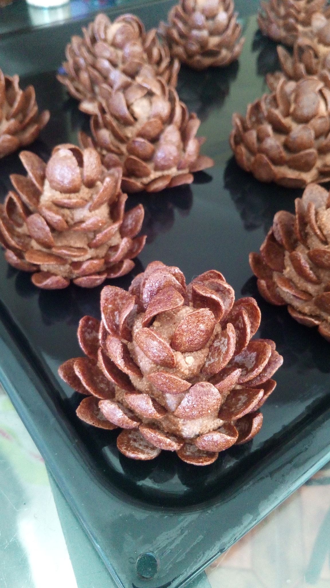 συνταγή-για-κουκουνάρια-από-δημητριακά-