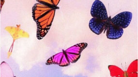 Ψυχολογικό τεστ: Σε ποιο λουλούδι θα καθίσει η πεταλούδα; Η απάντηση σου θα αποκαλύψει την πραγματική σου αντίληψη για τις σχέσεις
