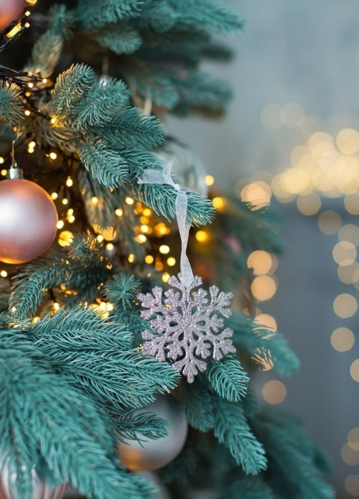 Αυγά Μάντη: Αν δείτε αυτές τις μπάλες μεγέθους καρυδιού στο Χριστουγεννιάτικο Έλατο πετάξτε το γρήγορα