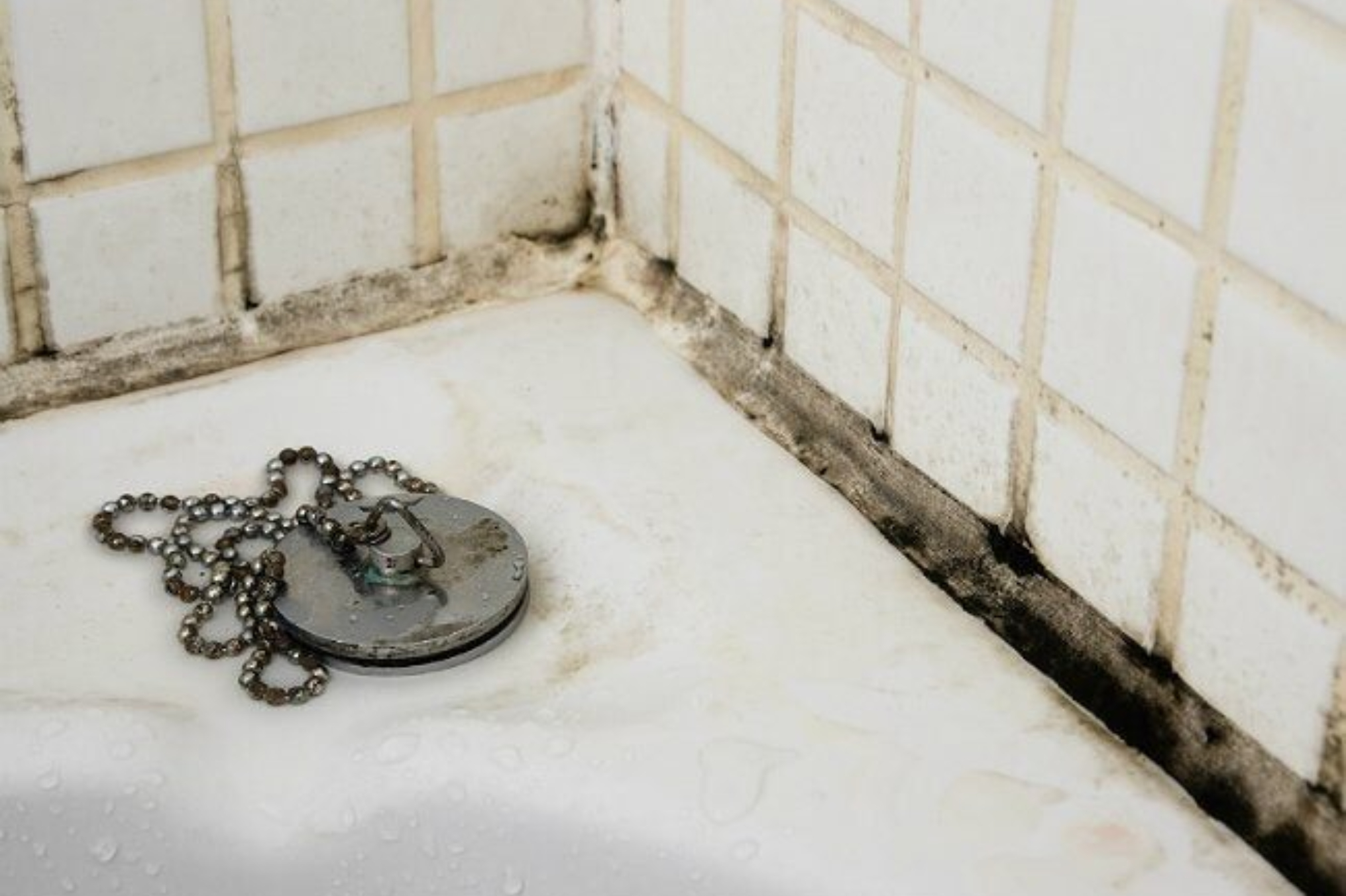 Άσχημες μυρωδιές ούρων και κίτρινα σημάδια στην λεκάνη του μπάνιου: Εξαφανίστε τα με αυτό το πανίσχυρο φυσικό καθαριστικό