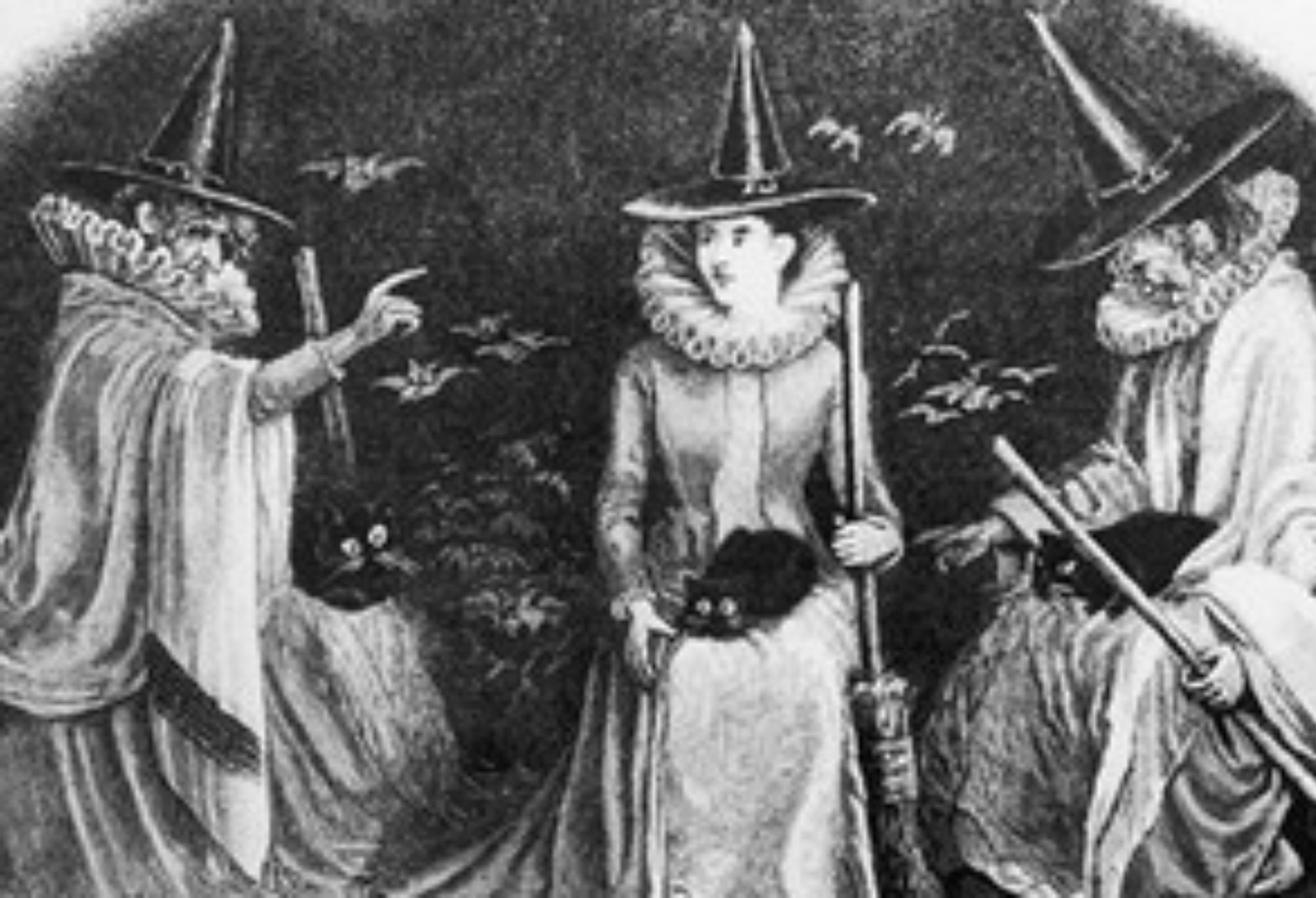 Ιπτάμενες μάγισσες πάνω σε σκούπες: Πως προέκυψε αυτό το περίεργο μέσο μεταφοράς – Οι μύθοι η θρύλοι και οι επιστημονικές εξηγήσεις