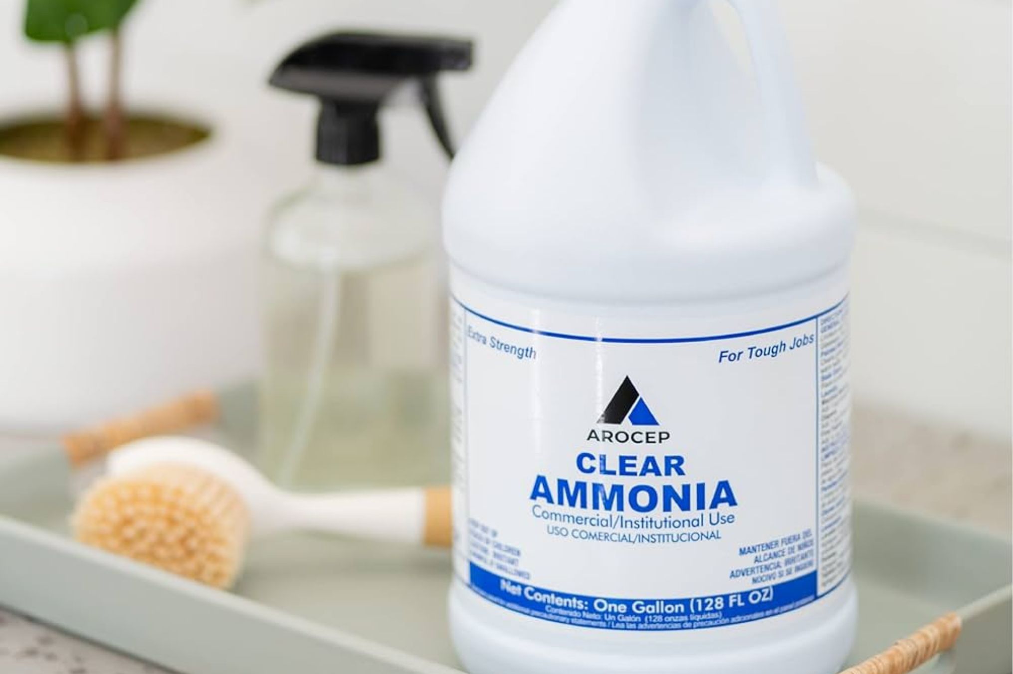 Βρώμικα πλακάκια τοίχοι ξύλινα πατώματα και λαδιές στα ρούχα: Καθαρίστε τα όλα με ένα πολύ απλό και οικονομικό υλικό