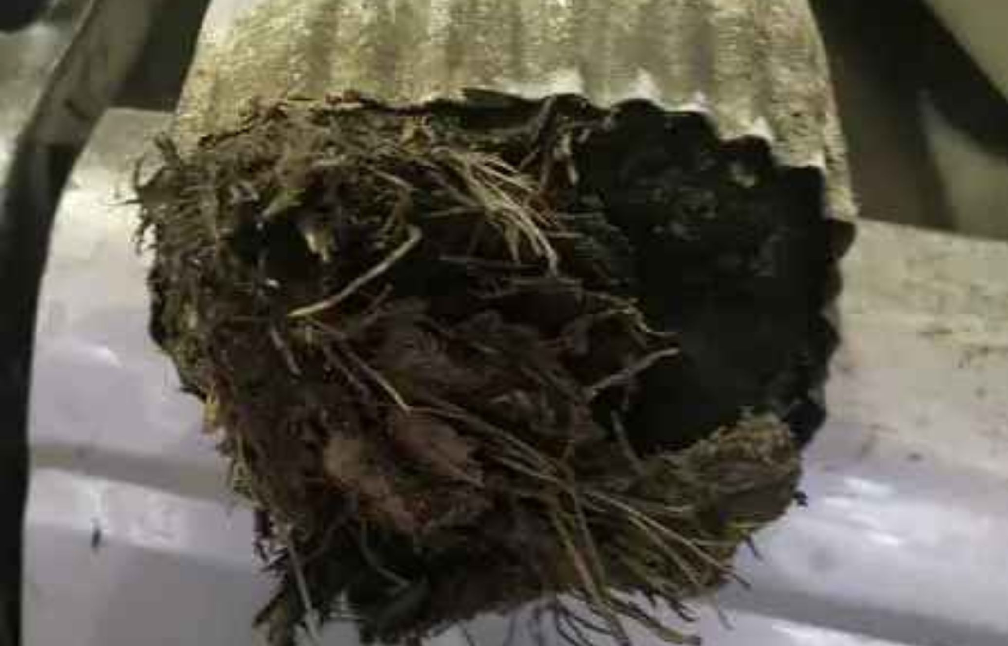 Βούλωσαν τα λούκια μετά τη βροχή από φύλλα λάσπες και χώμα: Πως να τα καθαρίσετε