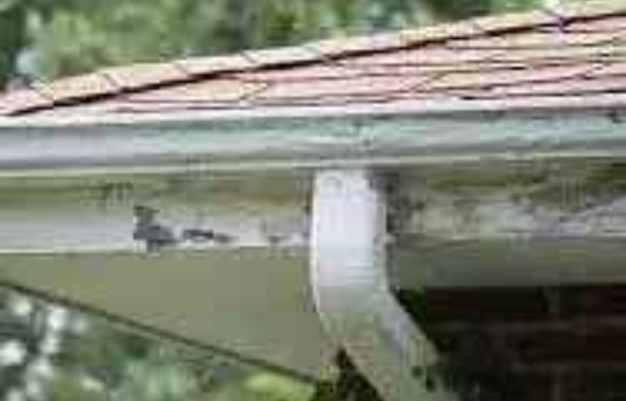 Βούλωσαν τα λούκια μετά τη βροχή από φύλλα λάσπες και χώμα: Πως να τα καθαρίσετε