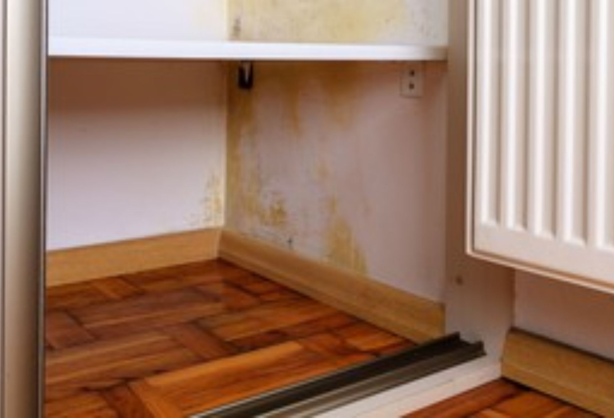 Μαυρίλες και άσχημη μυρωδιά στην ντουλάπα: Δείτε πως να εξαφανίσετε την υγρασία και την μούχλα από την ντουλάπα και τα ρούχα σας