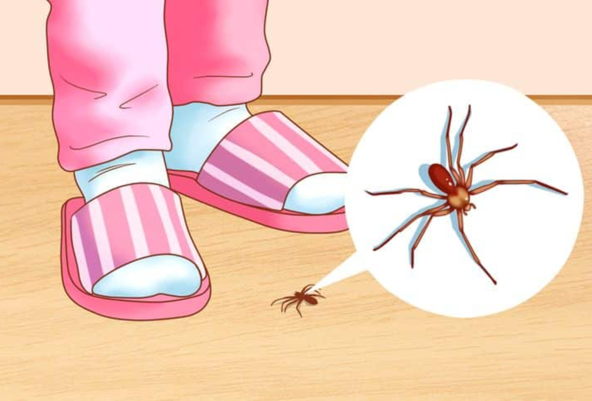 Αράχνες τσιμπούρια και κατσαρίδες στο σπίτι: 6 φυσικοί τρόποι για να απαλλαγείτε οριστικά
