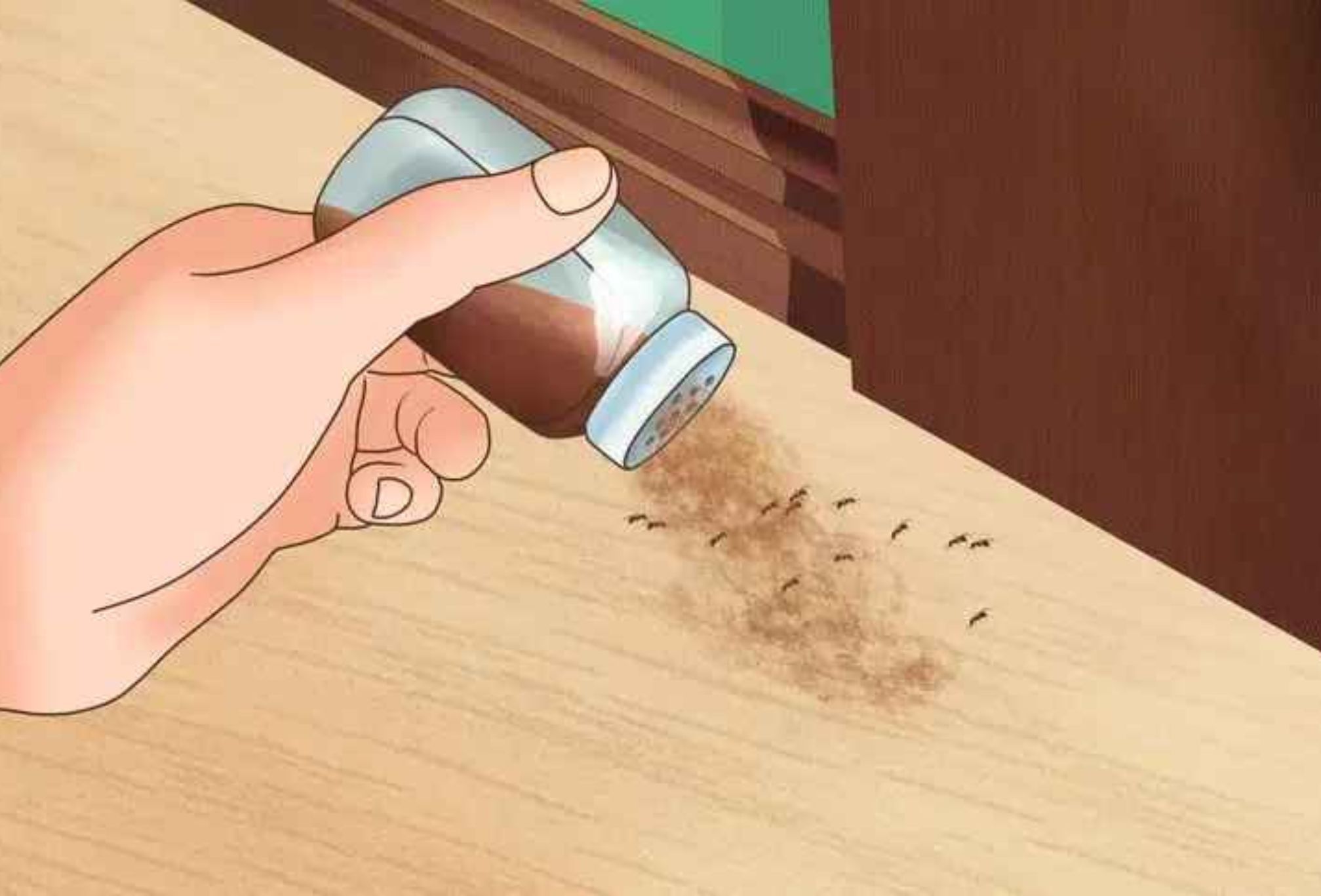 Αράχνες τσιμπούρια και κατσαρίδες στο σπίτι: 6 φυσικοί τρόποι για να απαλλαγείτε οριστικά