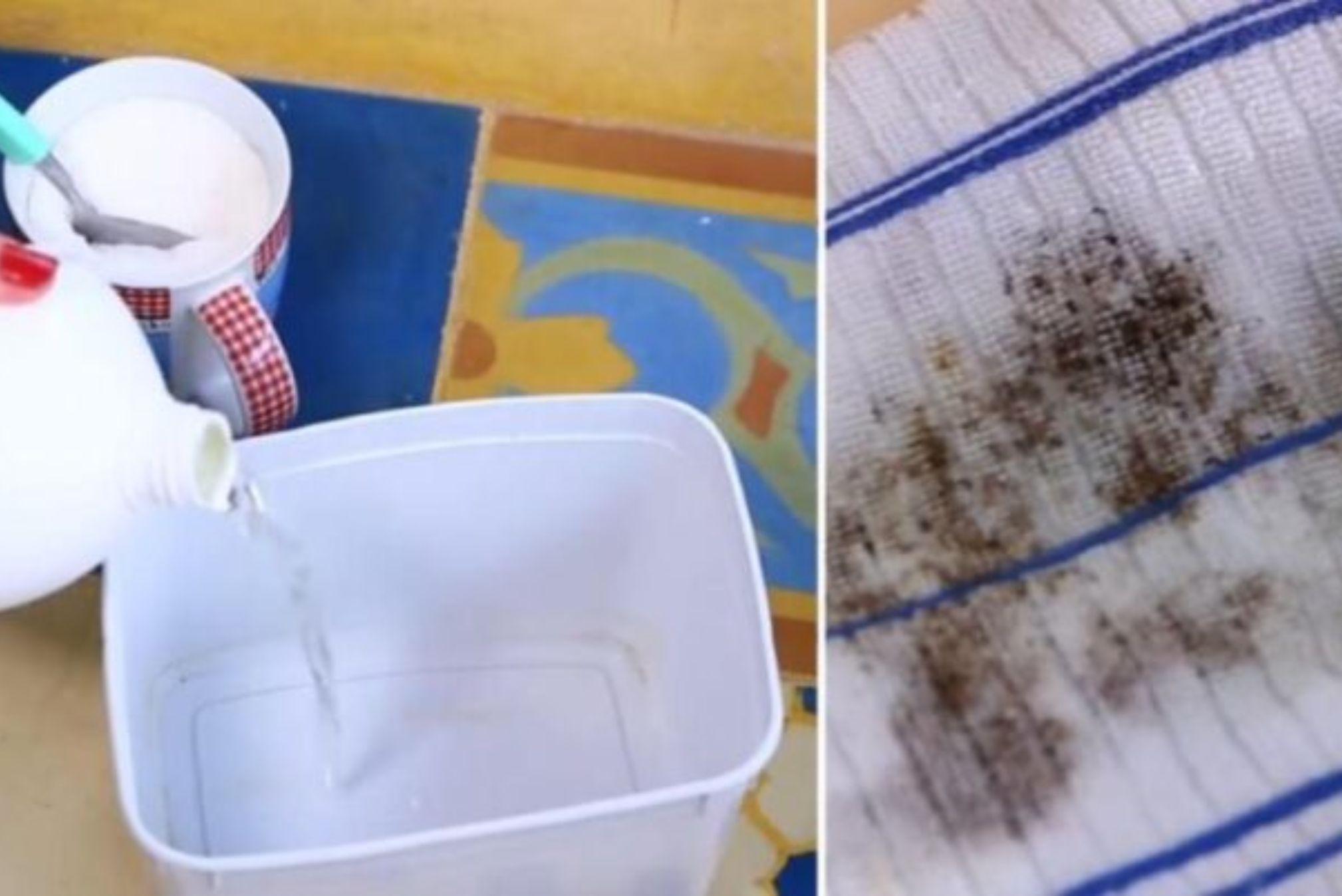 Με λίγη ζάχαρη αφαιρέστε ακόμα και τον πιο δύσκολο λεκέ μούχλας