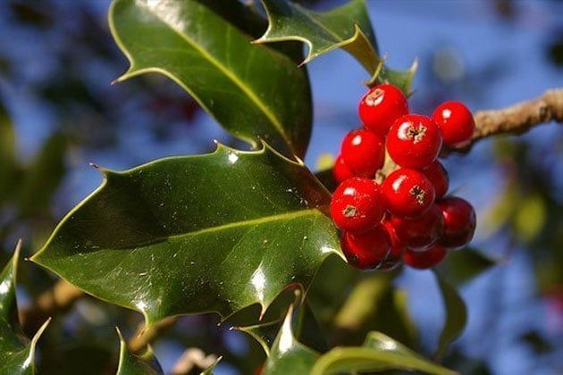 Ήθη και έθιμα Πρωτοχρονιάς από όλη την Ελλάδα