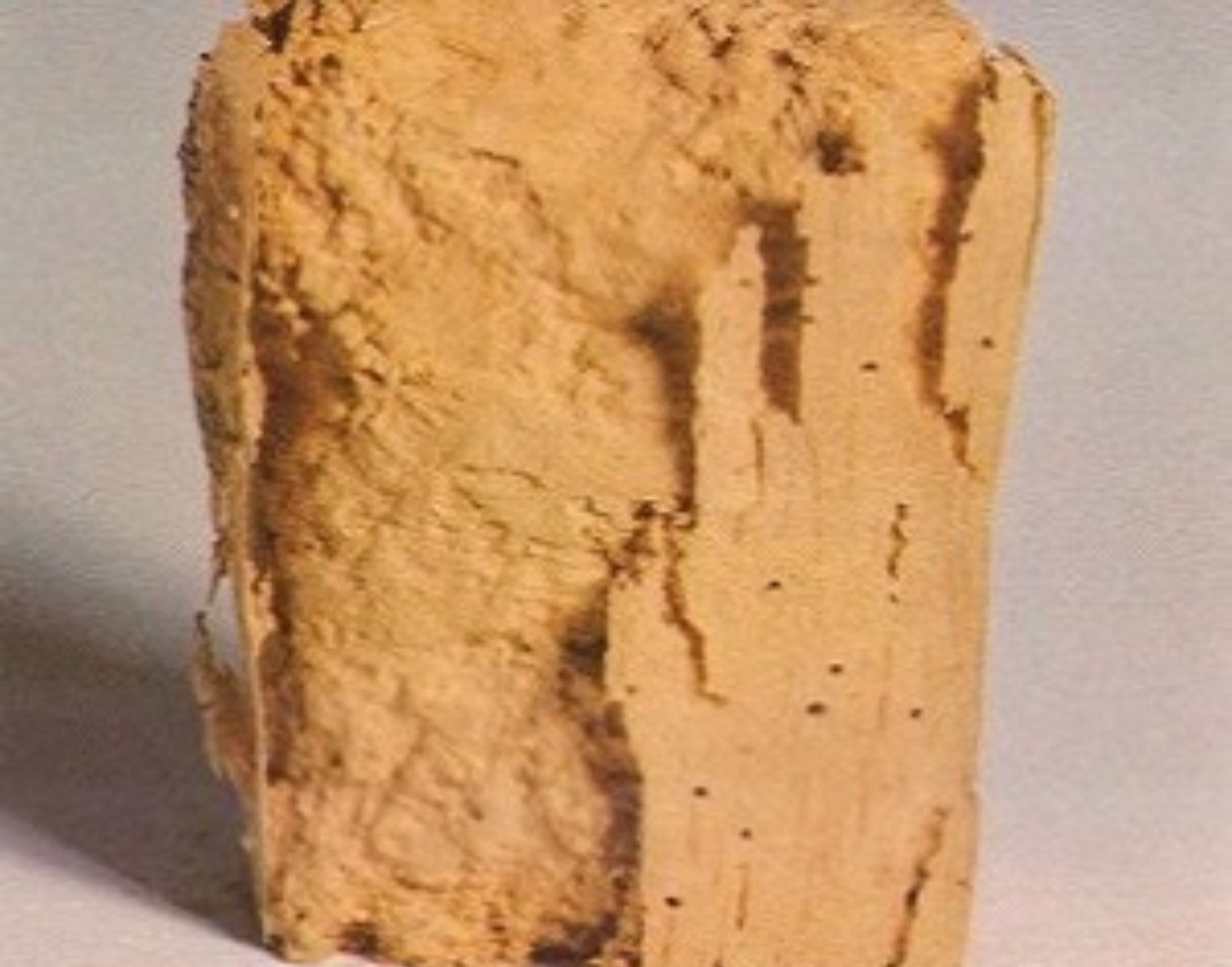 Σαράκι ξύλου στα έπιπλα ή το παρκέ σας: Τι ζημιές προκαλεί από που προέρχεται και πως να απαλλαγείτε