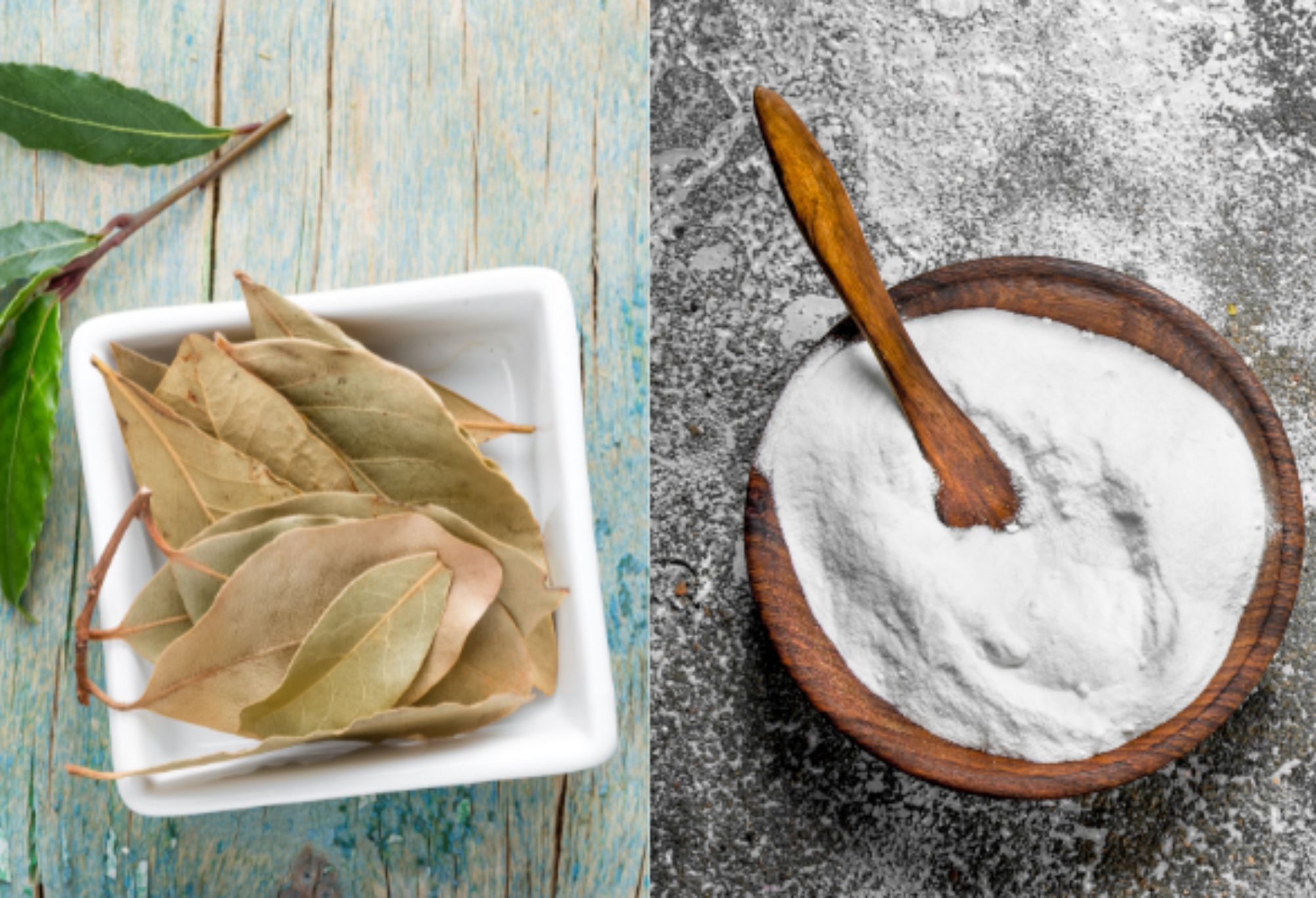 Μαύρα και χρωματιστά ρούχα που έχουν ξεθωριάσει: Το Κόλπο με τα Φύλλα Δάφνης που θα τα ξανά κάνει σαν καινούρια