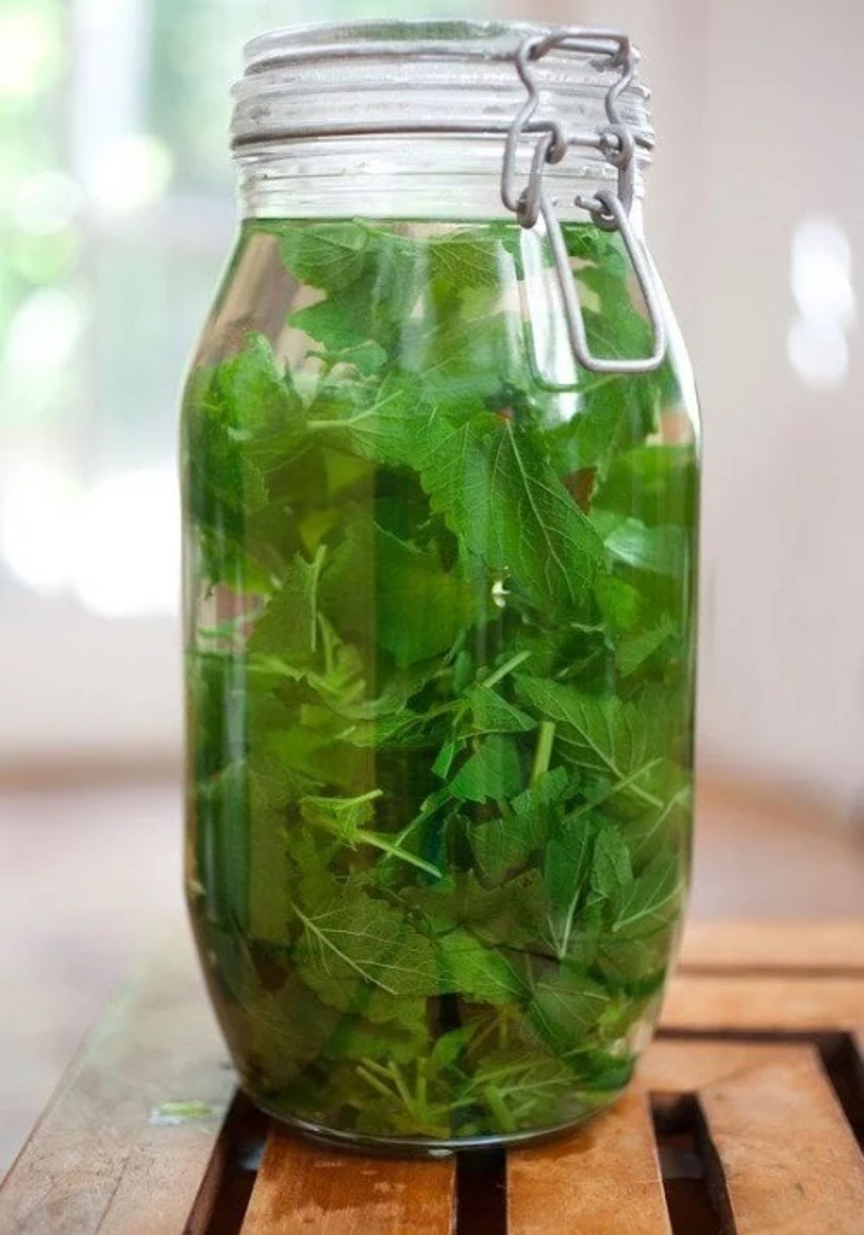 Βρώμικα χαλιά μπανιέρα ή πάγκοι κουζίνας: 12 diy φυσικά καθαριστικά από βότανα