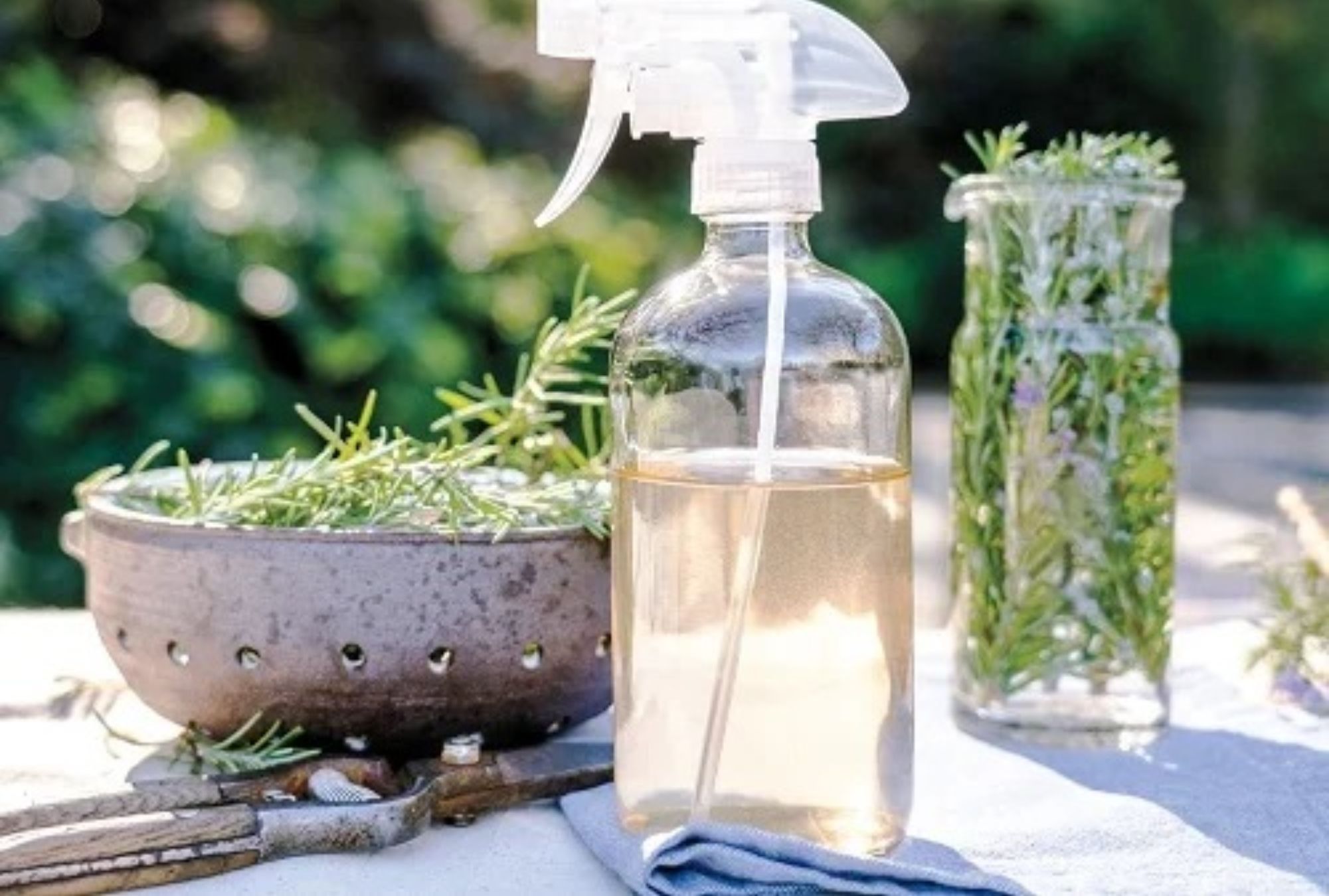 Βρώμικα χαλιά μπανιέρα ή πάγκοι κουζίνας: 12 diy φυσικά καθαριστικά από βότανα