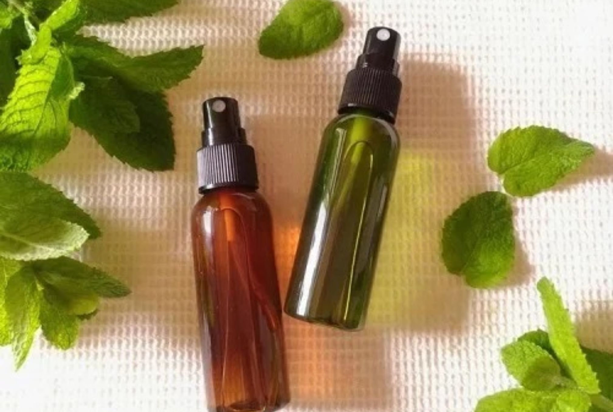 Βρώμικα χαλιά μπανιέρα ή πάγκοι κουζίνας: 12 diy φυσικά καθαριστικά από βότανα