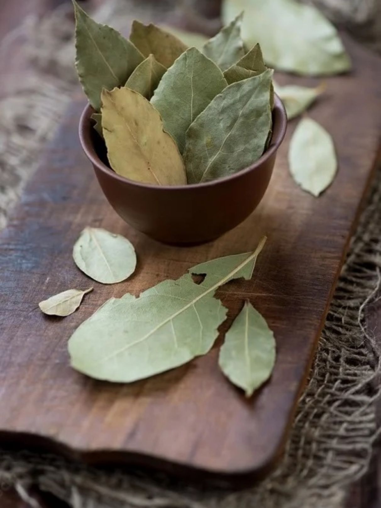 Βρώμικα χαλιά μπανιέρα ή πάγκοι κουζίνας: 12 diy φυσικά καθαριστικά από βότανα