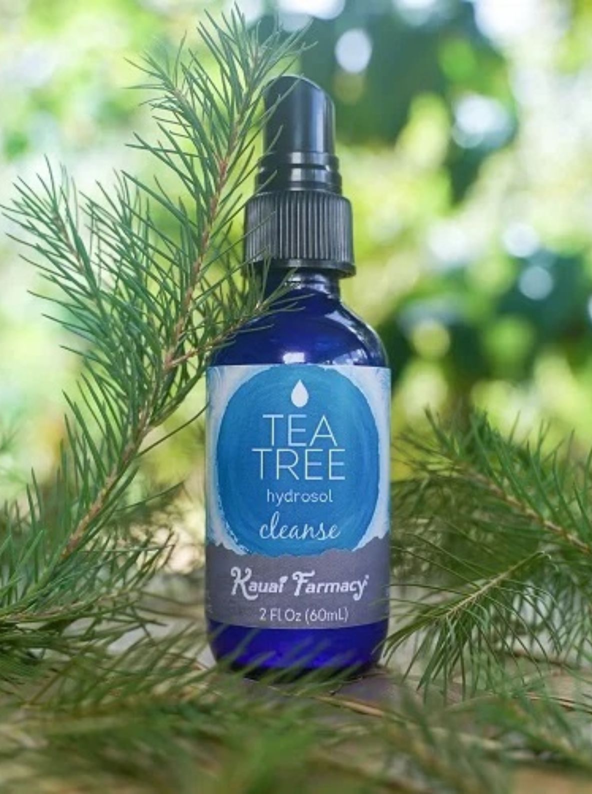 Βρώμικα χαλιά μπανιέρα ή πάγκοι κουζίνας: 12 diy φυσικά καθαριστικά από βότανα