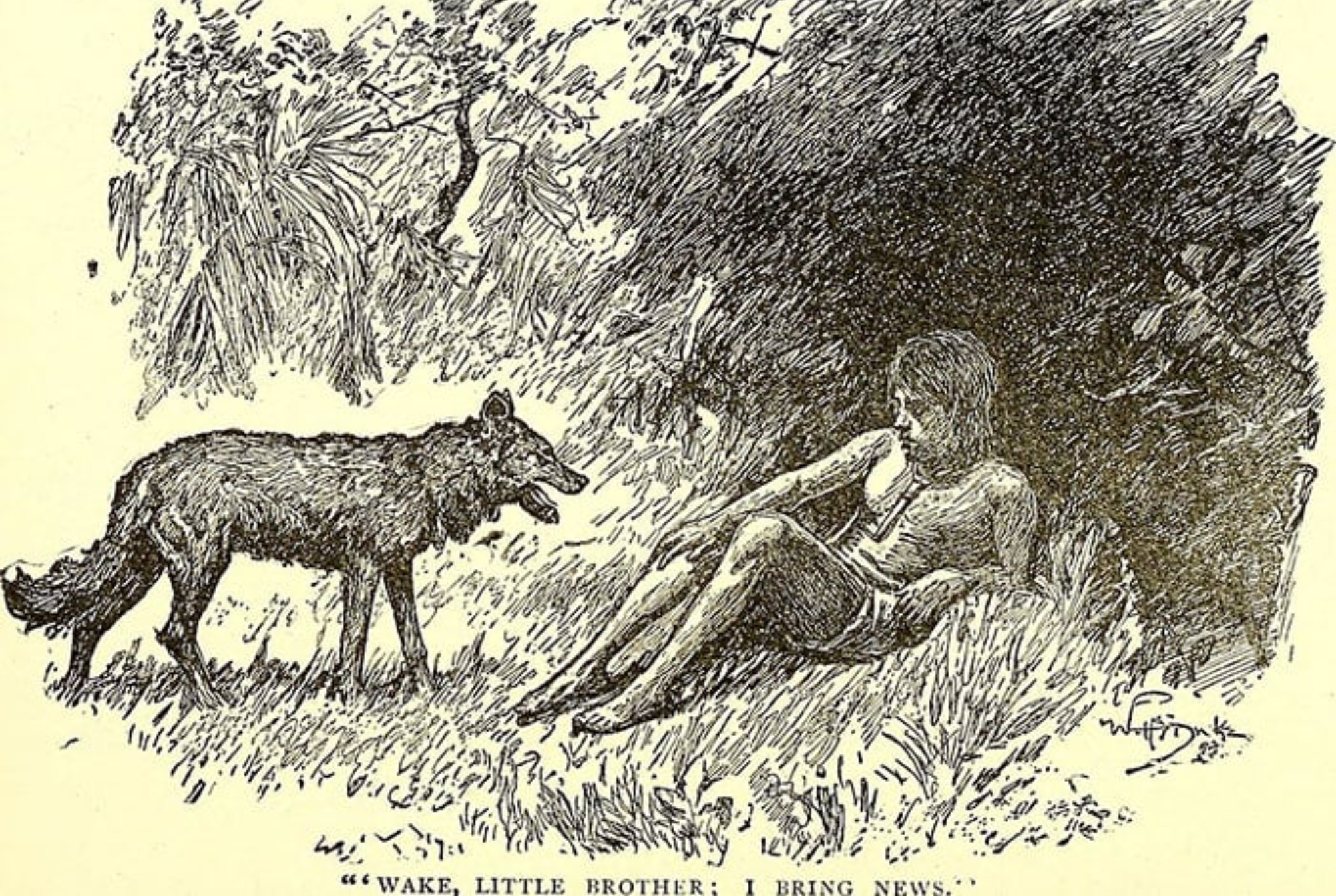 Dina Sanichar ο αληθινός Μόγλης: Το άγριο αγόρι που μεγάλωσαν λύκοι και ενέπνευσε τον Ράντγιαρντ Κίπλινγκ για να γράψει το Βιβλίο της Ζούγκλας