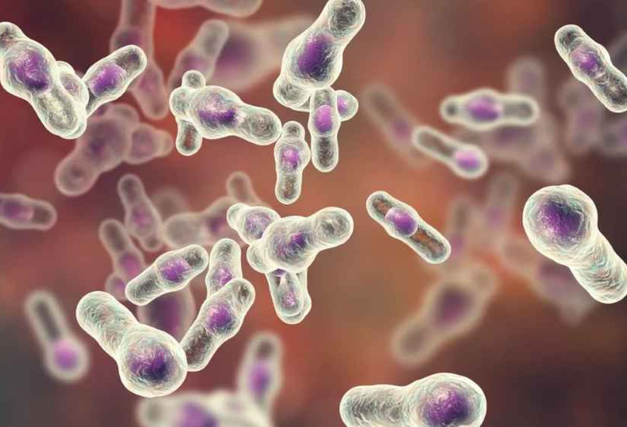 Αιμολυτικός στρεπτόκοκκος ή νόσος του GAS: Συμπτώματα και ασθένειες που προκαλεί σε παιδιά και ενήλικες