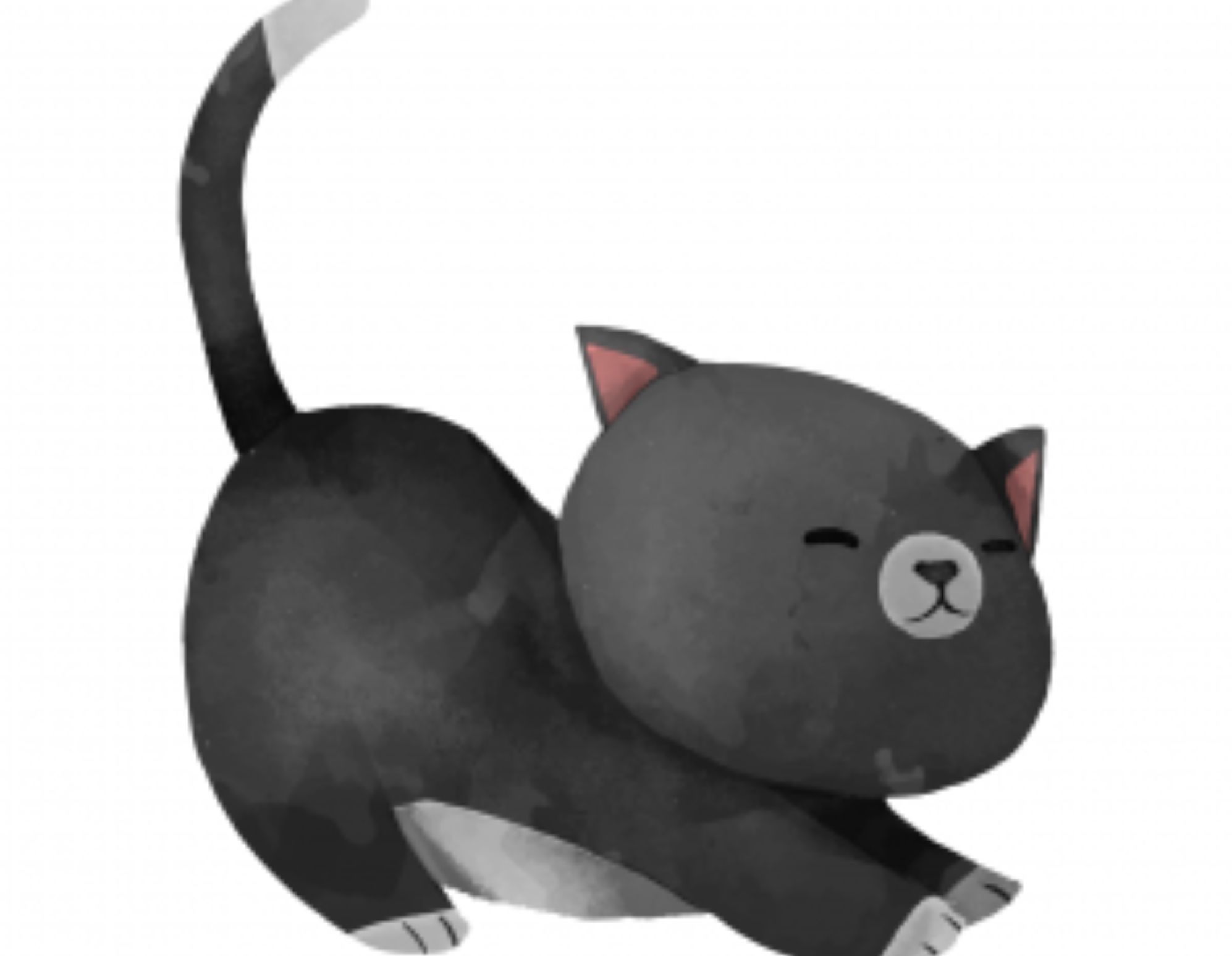 Ψυχολογικό τεστ: Πιστός εργασιομανής ή αποδιοργανωμένος – Κάνε το Τεστ της γάτας και μάθε