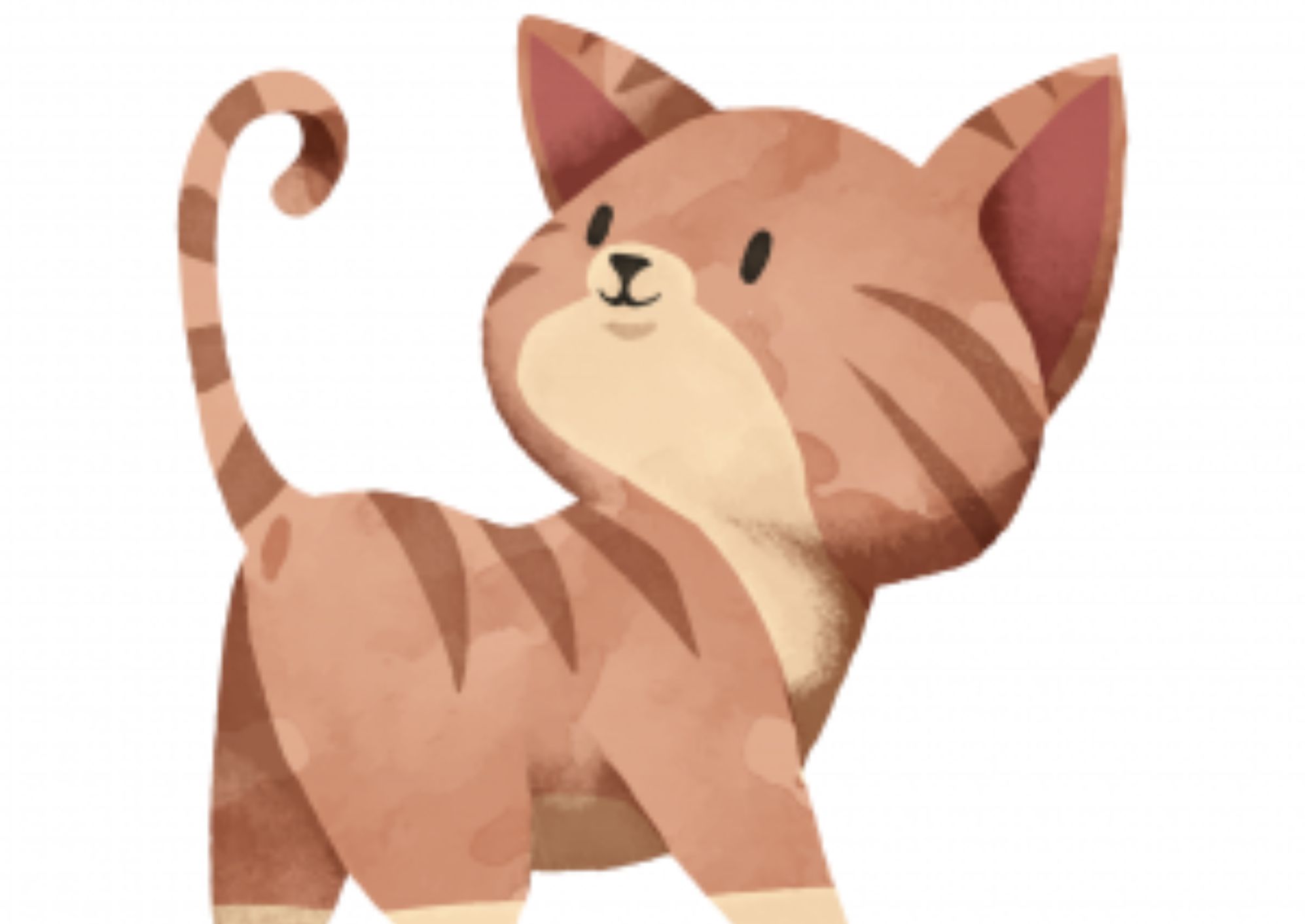 Ψυχολογικό τεστ: Πιστός εργασιομανής ή αποδιοργανωμένος – Κάνε το Τεστ της γάτας και μάθε