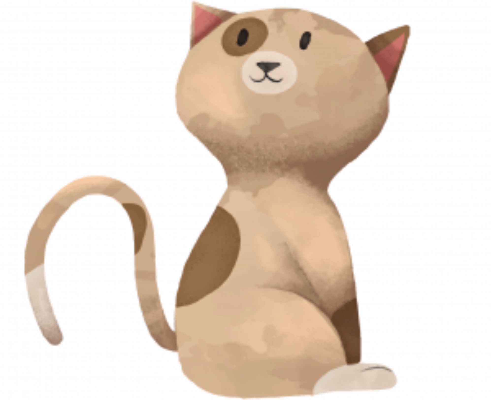 Ψυχολογικό τεστ: Πιστός εργασιομανής ή αποδιοργανωμένος – Κάνε το Τεστ της γάτας και μάθε