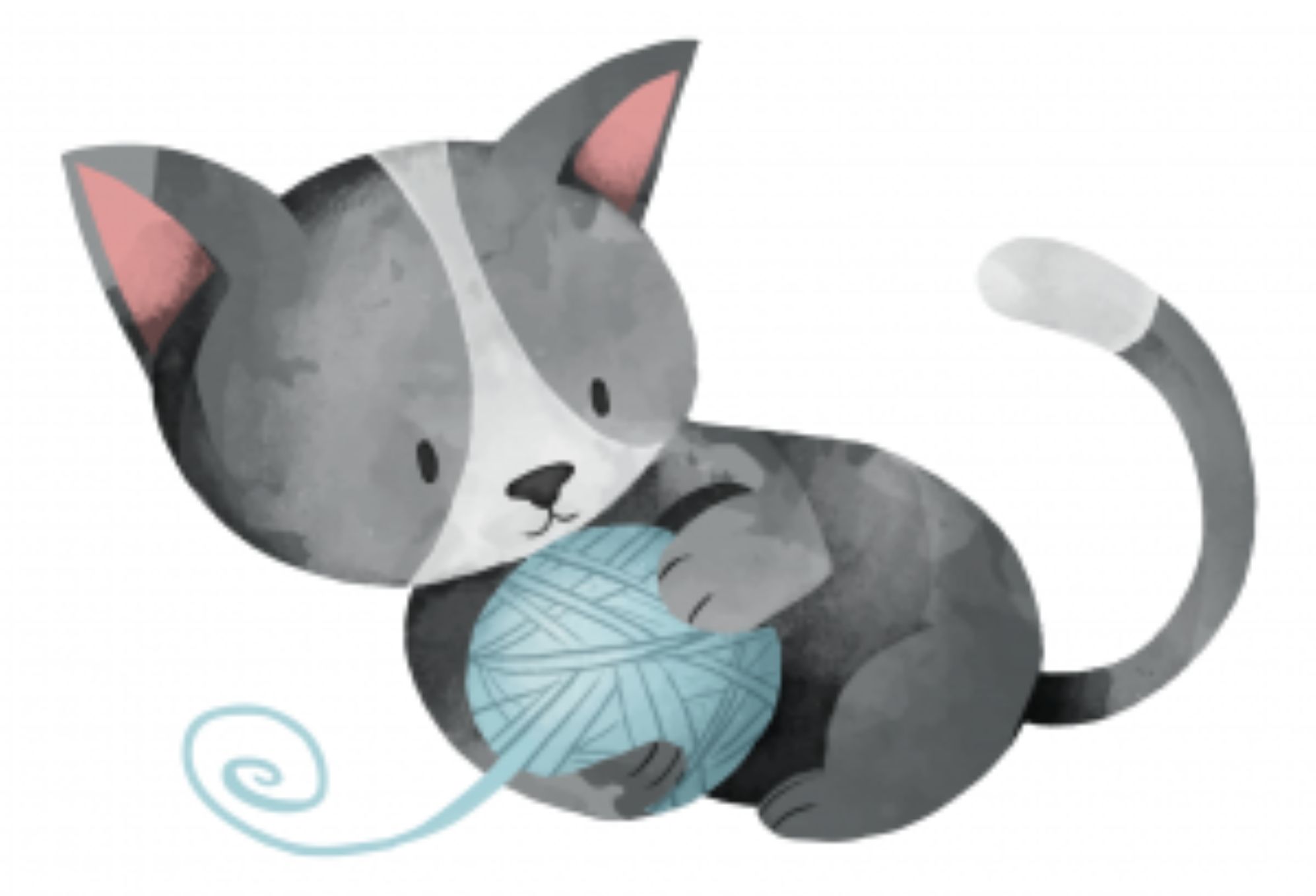 Ψυχολογικό τεστ: Πιστός εργασιομανής ή αποδιοργανωμένος – Κάνε το Τεστ της γάτας και μάθε