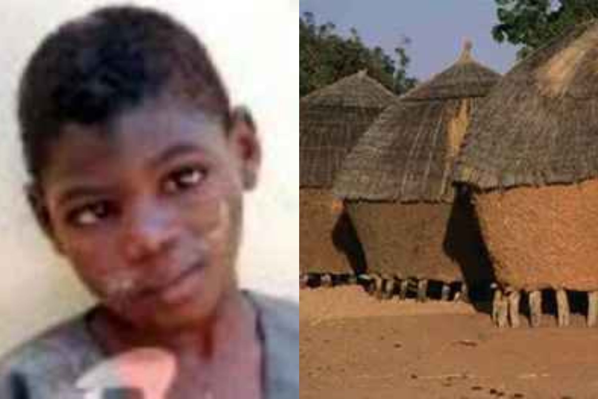 Απίστευτες ιστορίες παιδιών που εγκαταλείφθηκαν και μεγάλωσαν με ζώα