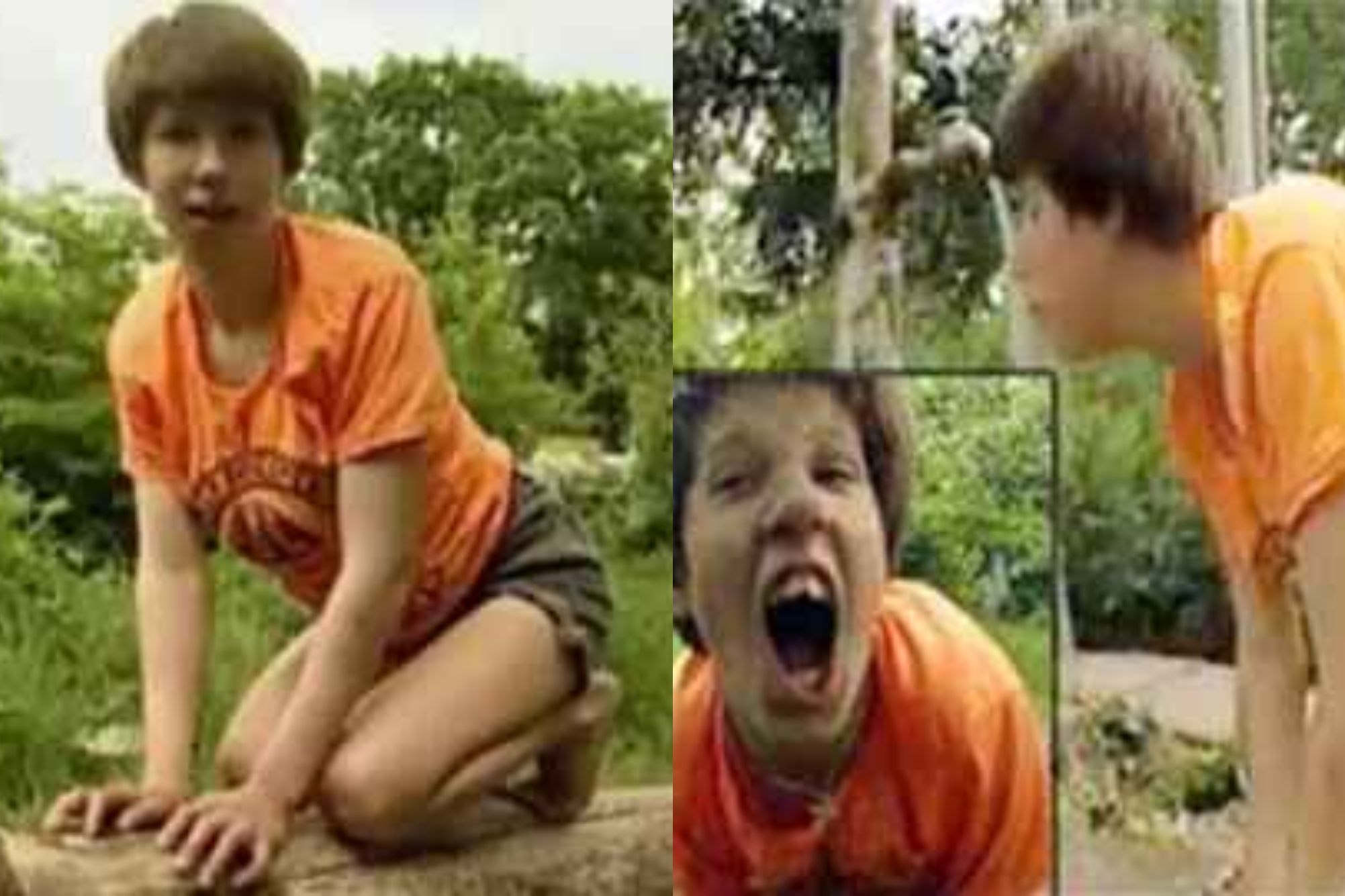 Απίστευτες ιστορίες παιδιών που εγκαταλείφθηκαν και μεγάλωσαν με ζώα