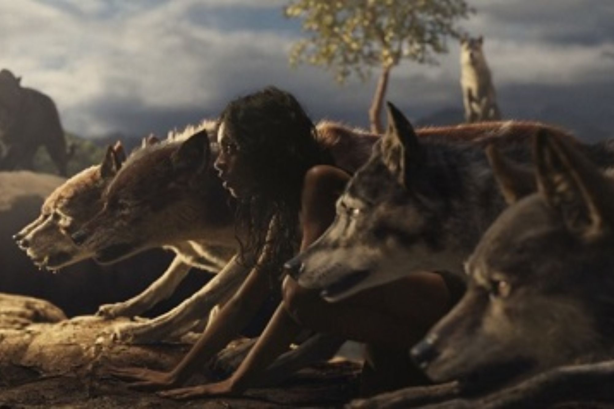 Απίστευτες ιστορίες παιδιών που εγκαταλείφθηκαν και μεγάλωσαν με ζώα