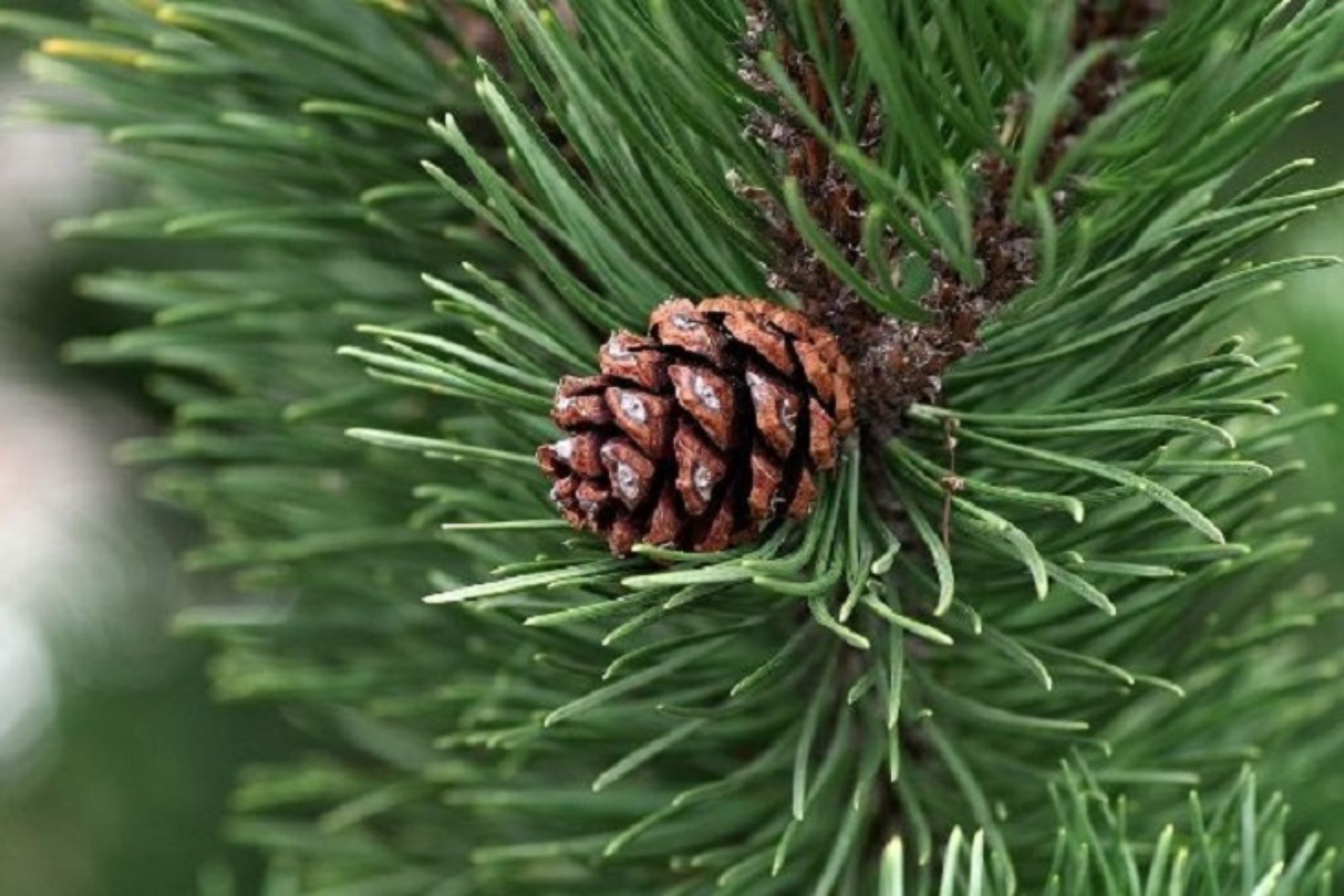 Βουλωμένες αποχετεύσεις που μυρίζουν: Οι υδραυλικοί προτείνουν να ψεκάσετε αυτό το υγρό στην τρύπα του νεροχύτη