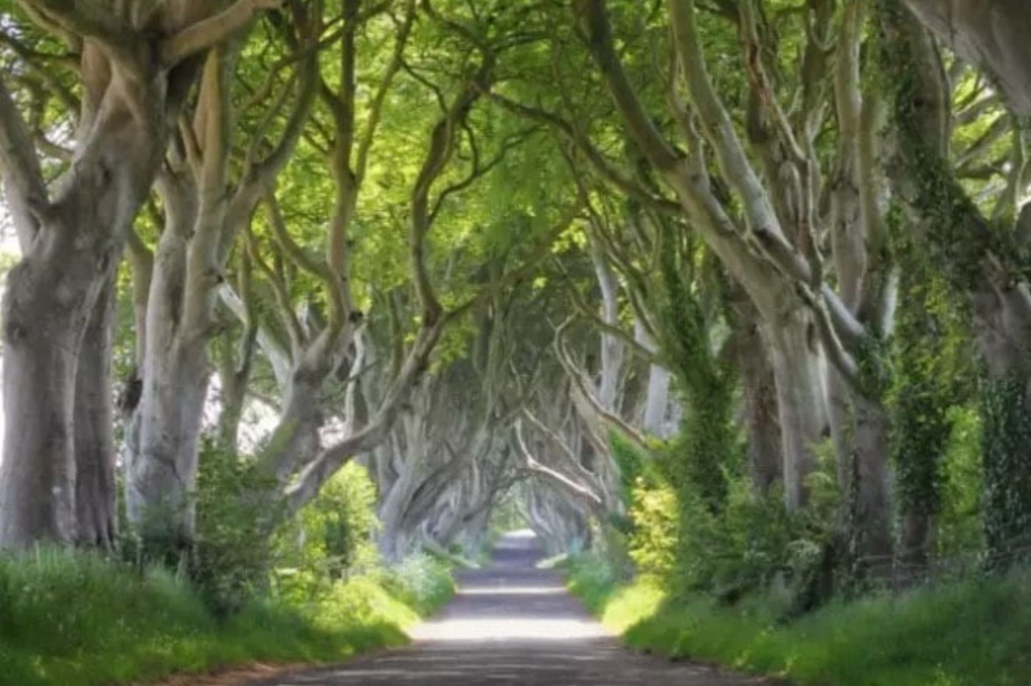 Ψυχολογικό τεστ: Διάλεξε ένα μονοπάτι και εκείνο θα σου αποκαλύψει ποια φιλοσοφία ζωής θα ακολουθήσεις 