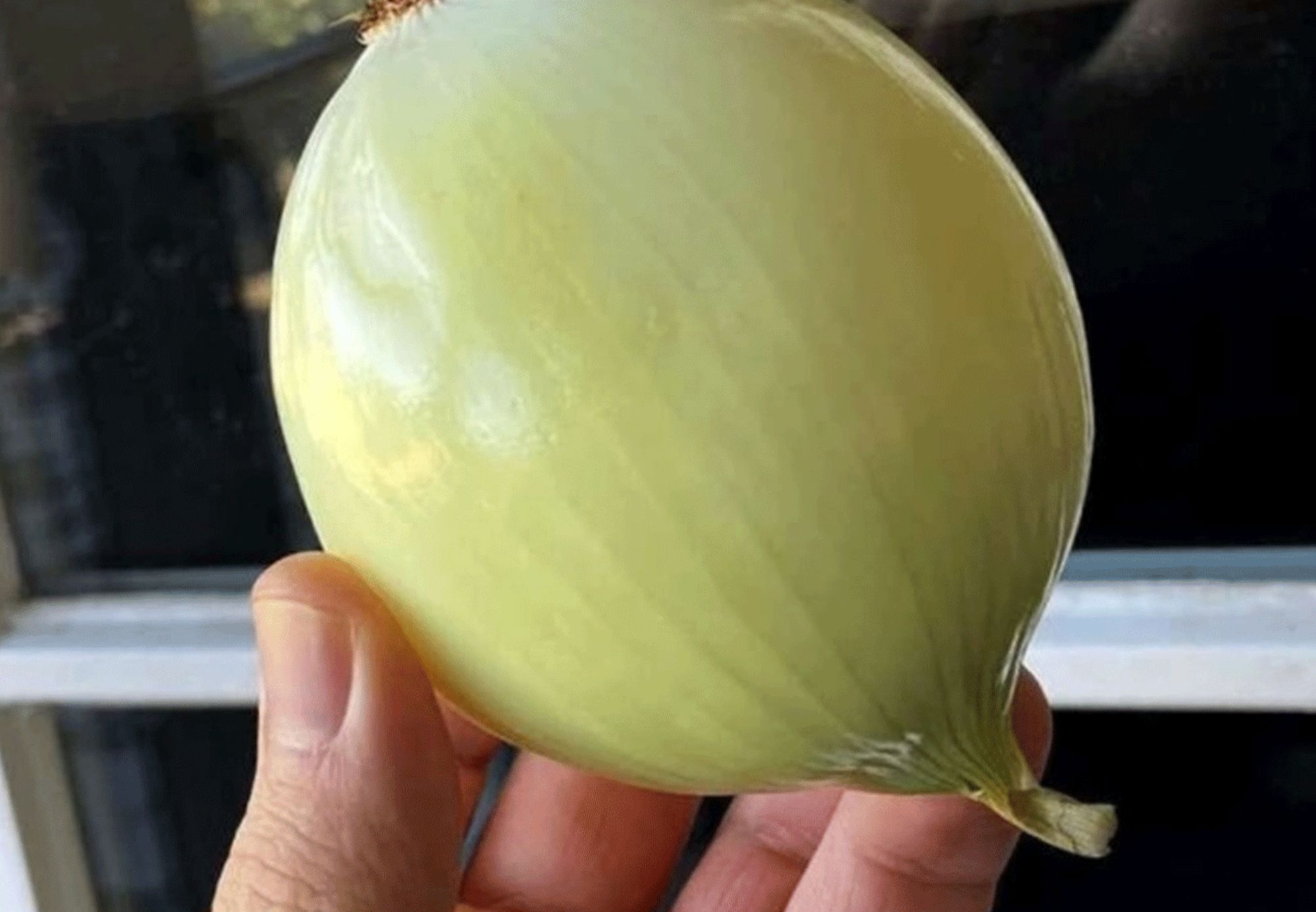 Βρώμικα τζάμια από λίπη δαχτυλιές και σκόνη: Το κόλπο με το κρεμμύδι που θα τα κάνει αόρατα χωρίς κόπο